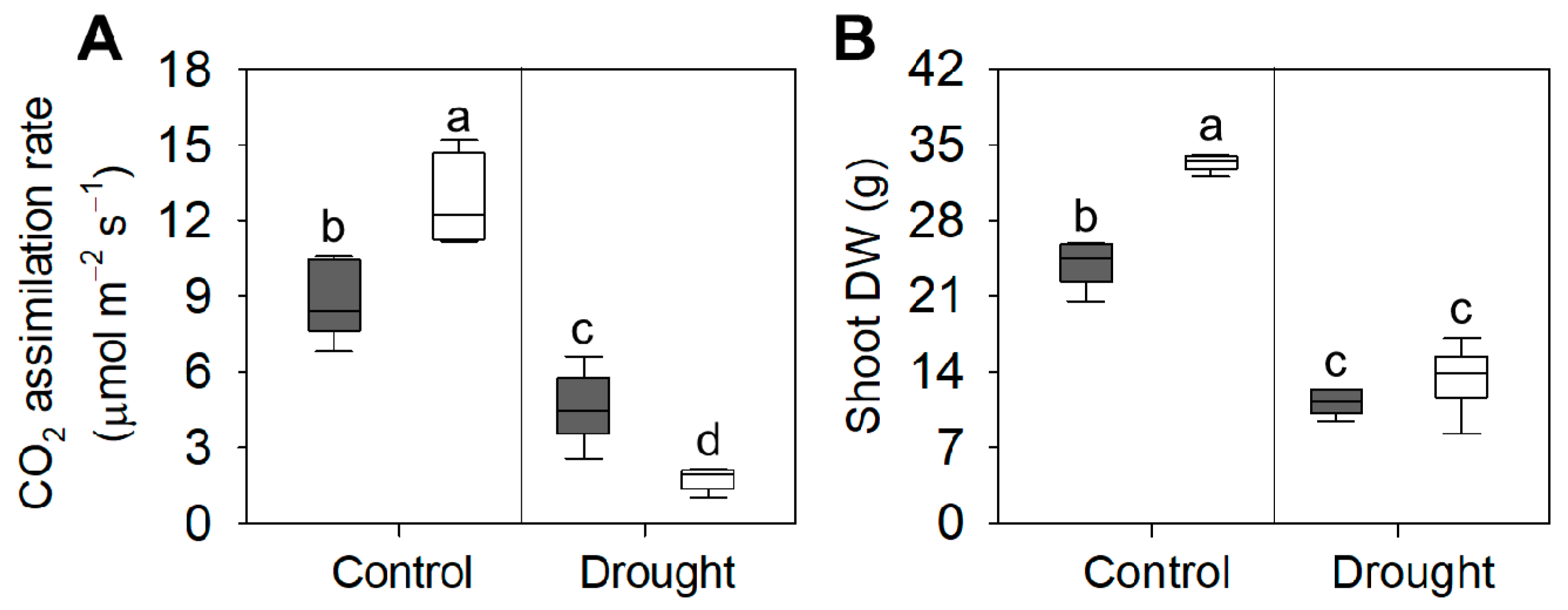 Biology 10 00139 g009