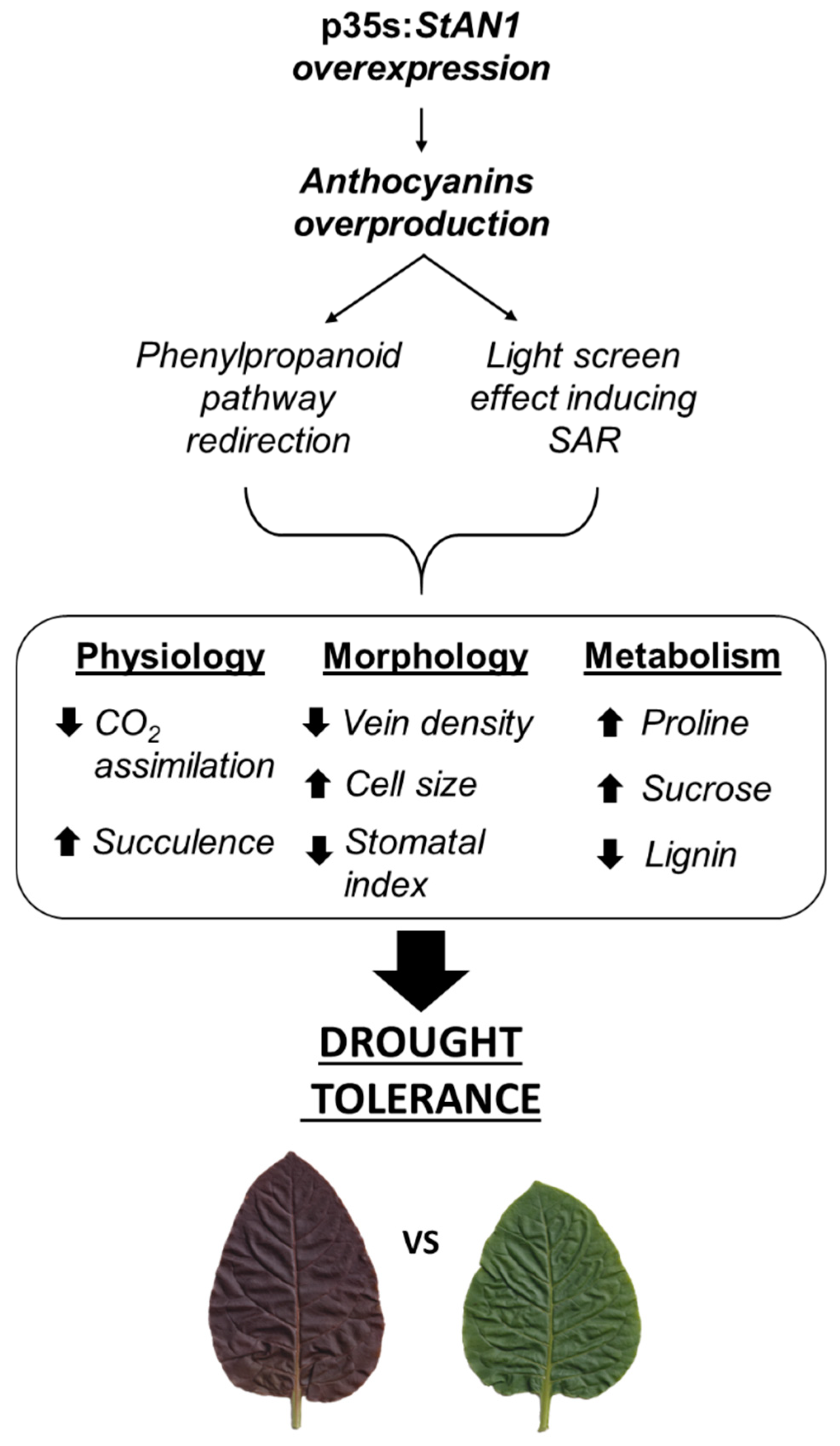 Biology 10 00139 g010