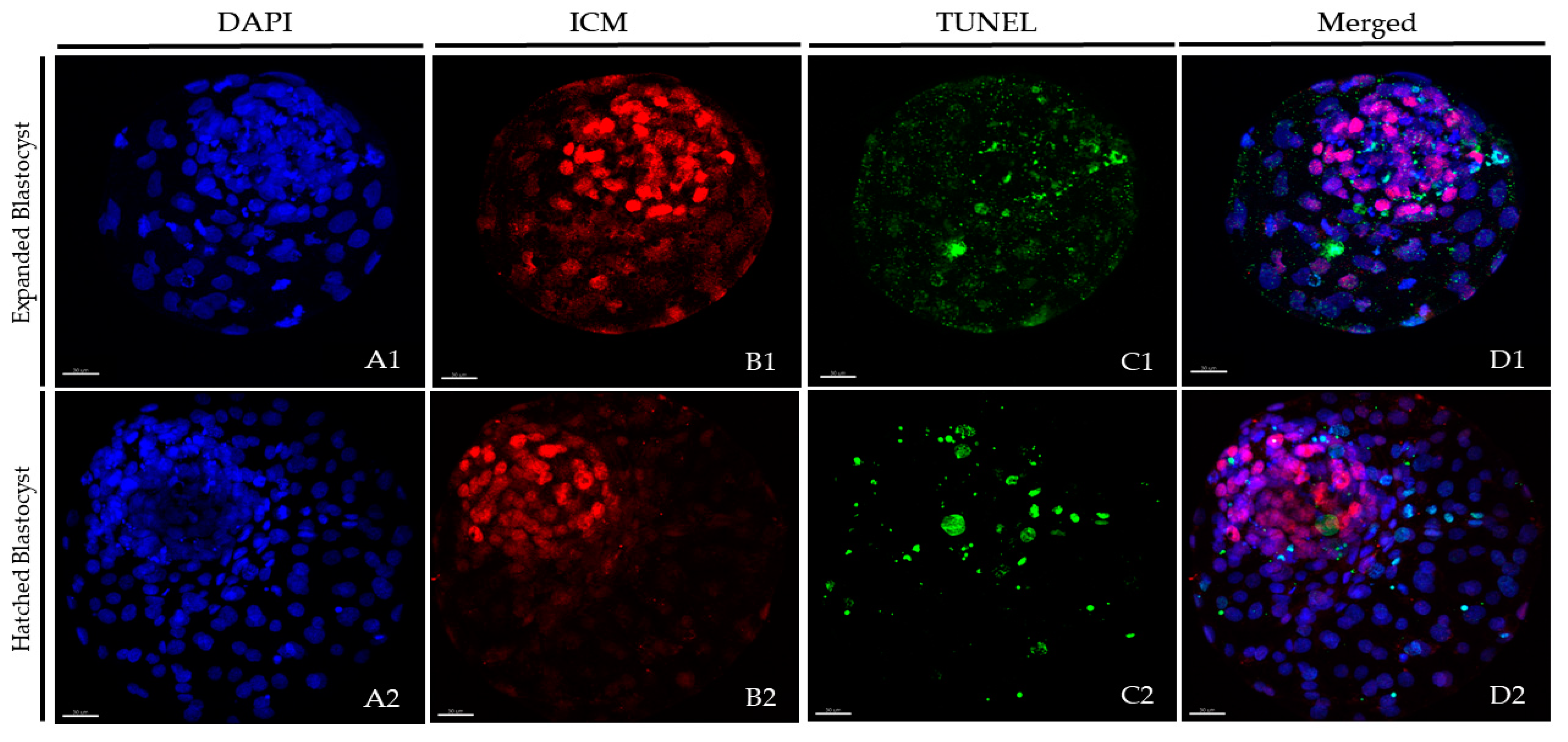 Biology 10 00142 g002
