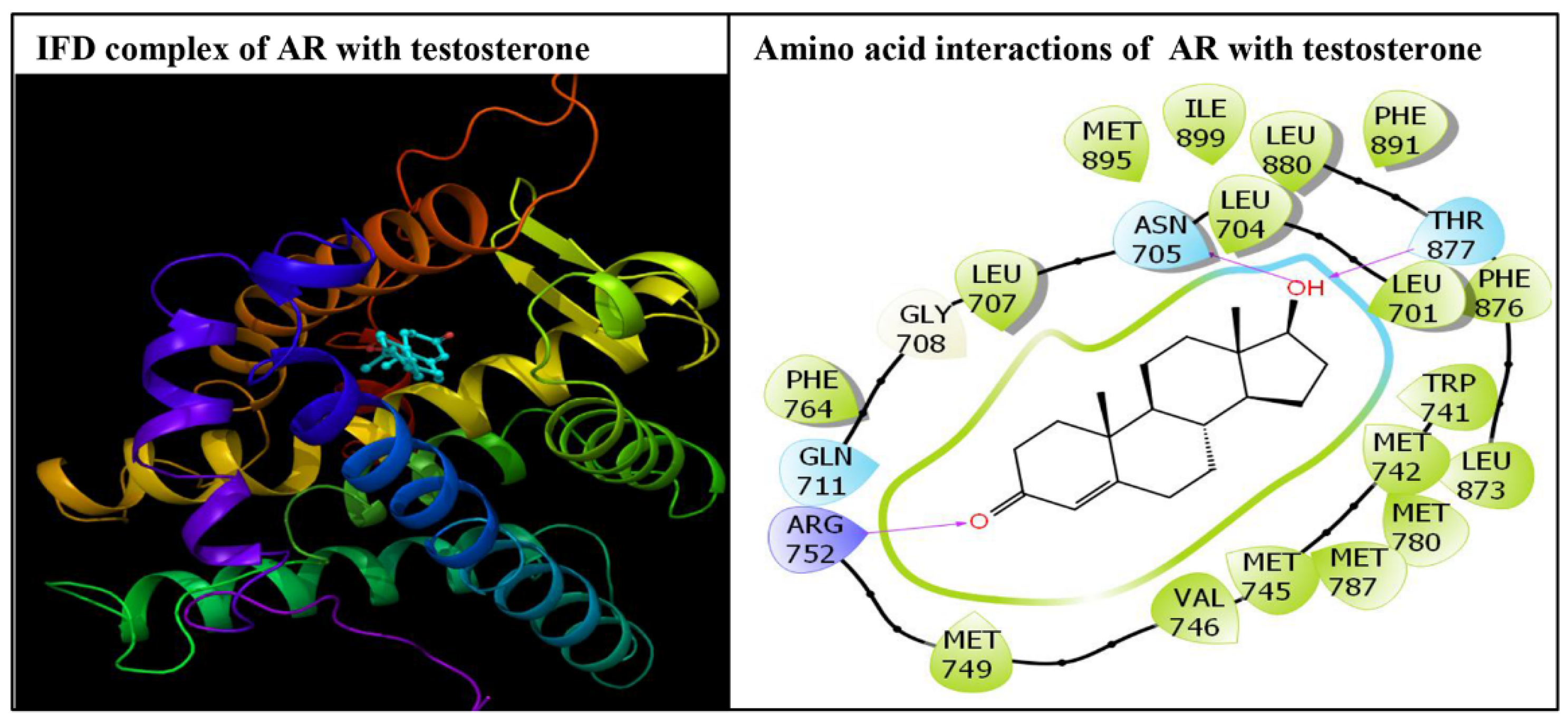 Biology 10 00143 g003