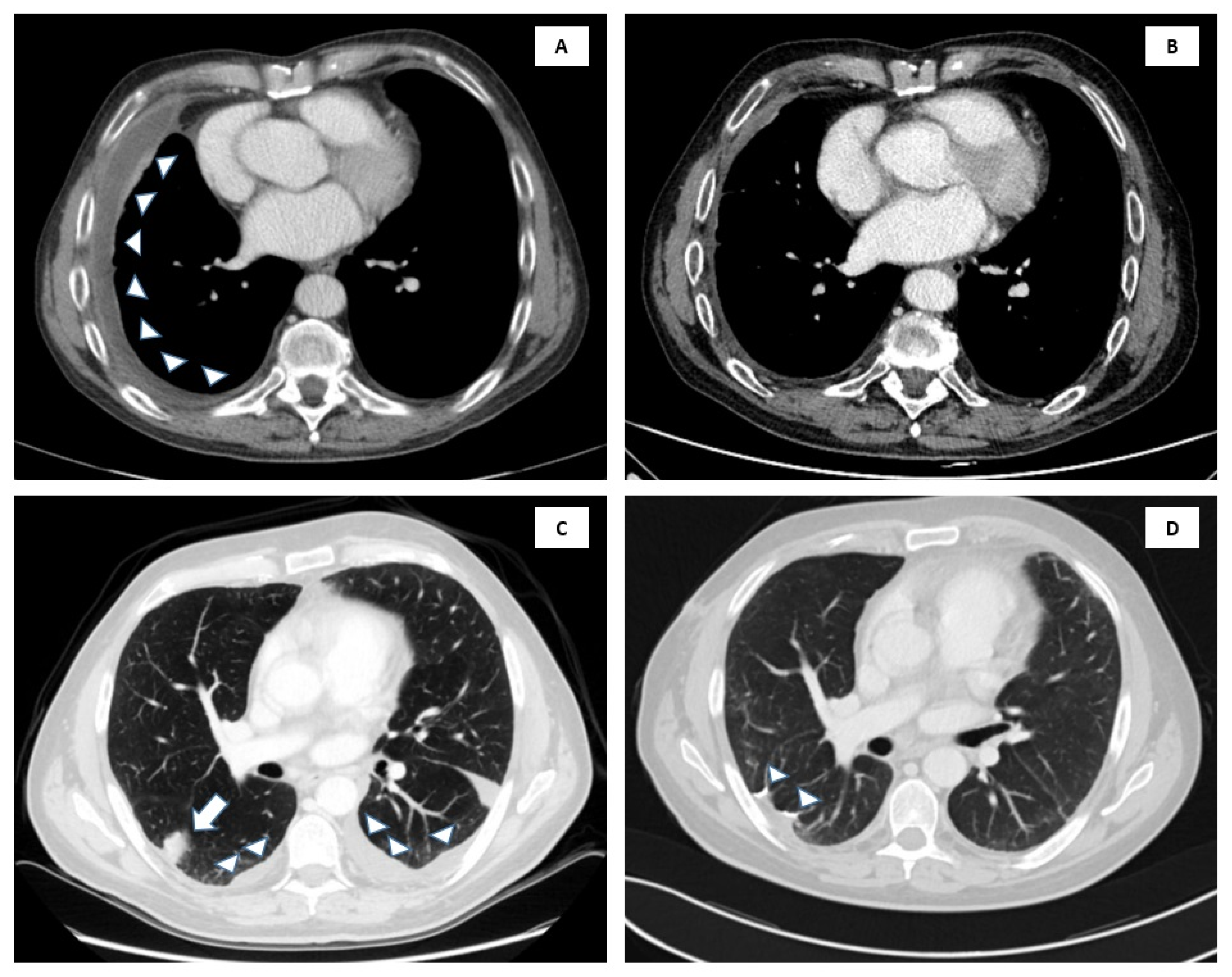 Biology 10 00152 g002