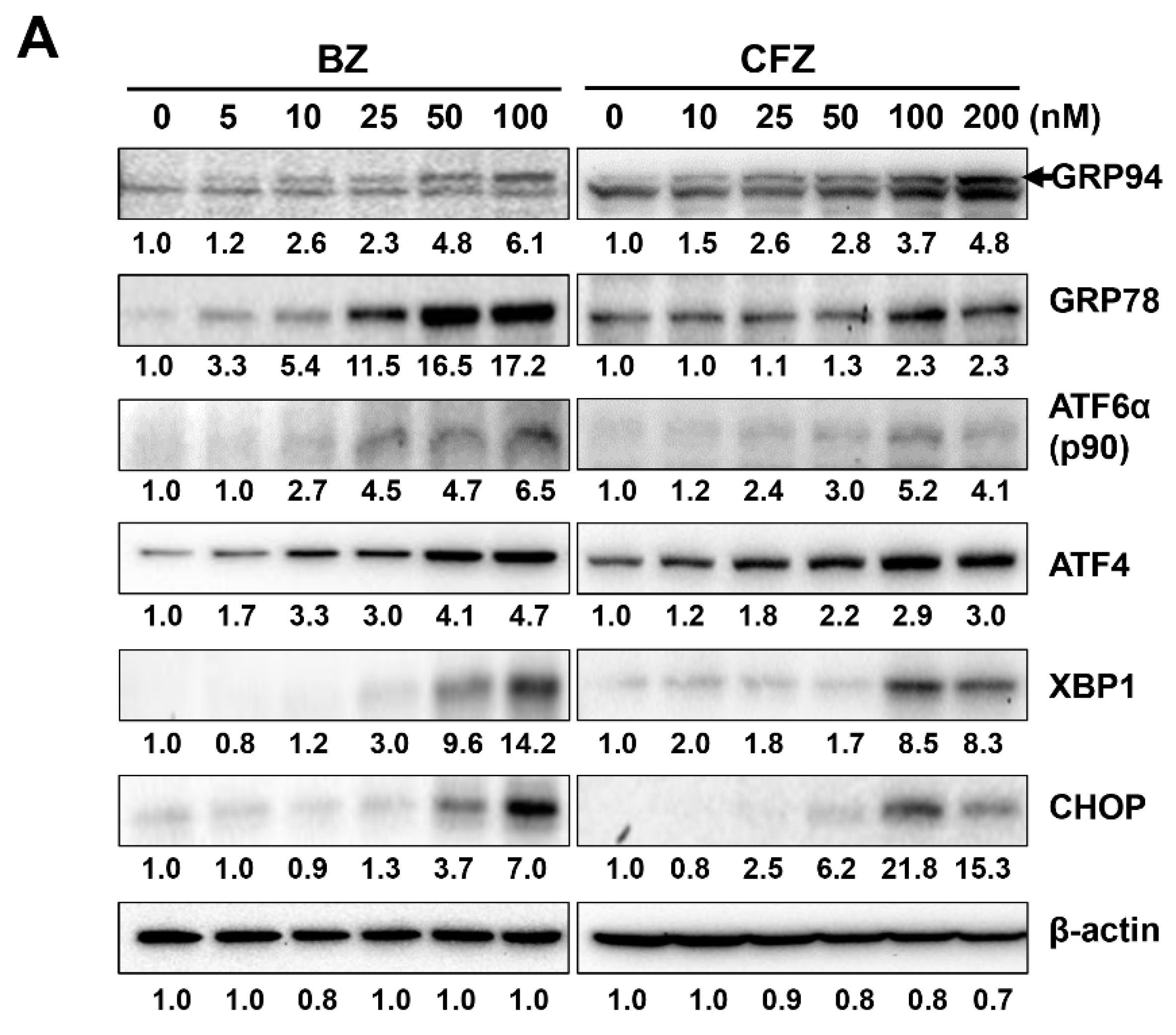 Biology 10 00153 g003a