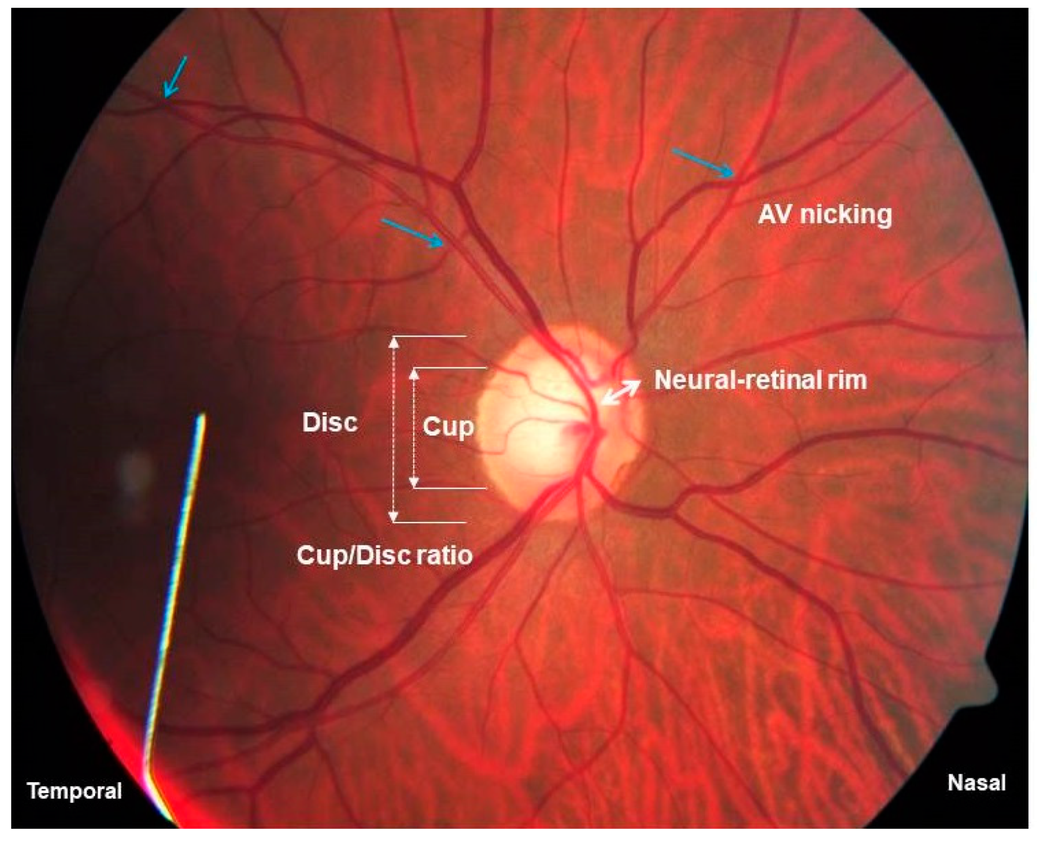 Biology 10 00162 g004
