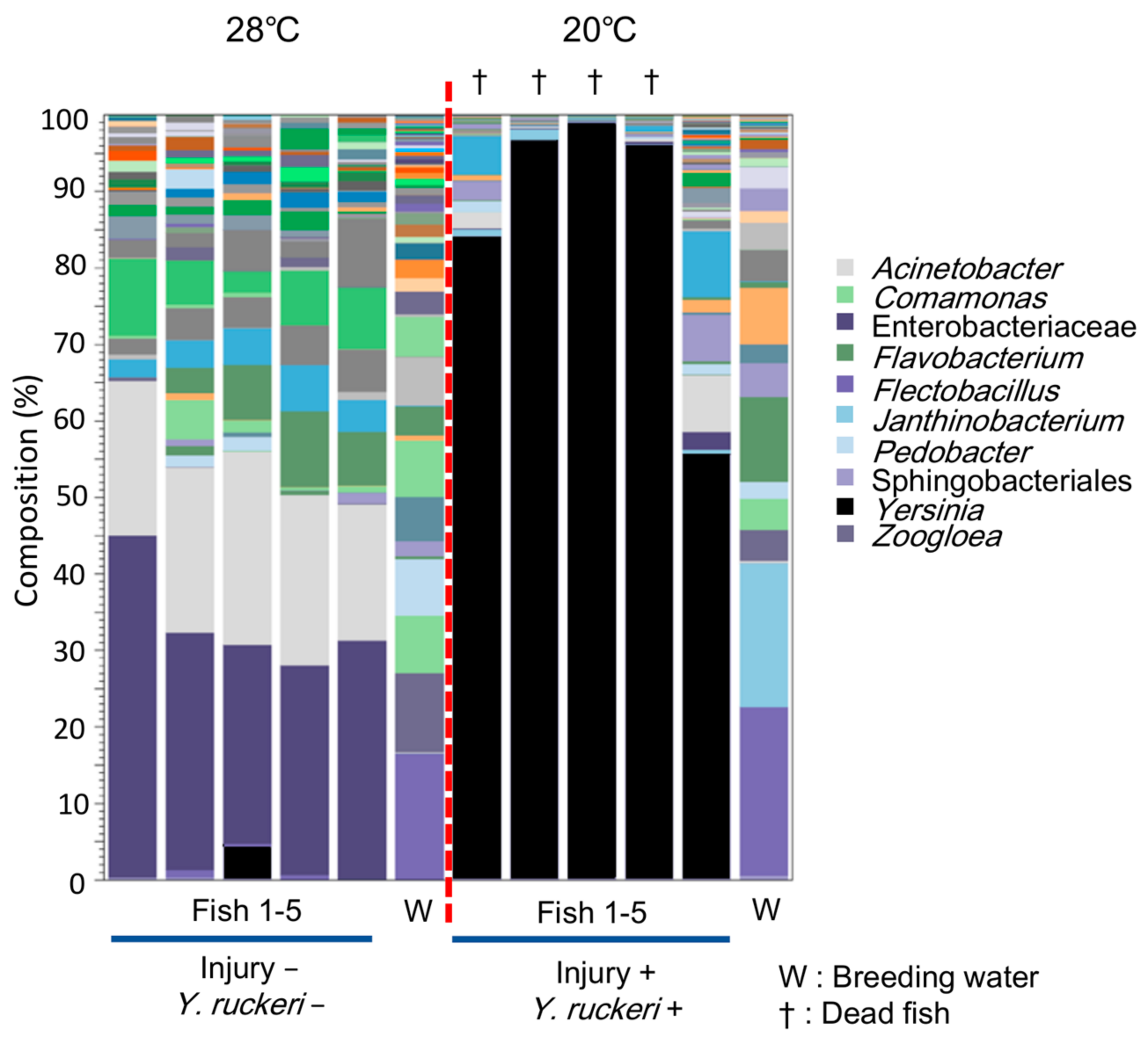 Biology 10 00166 g003