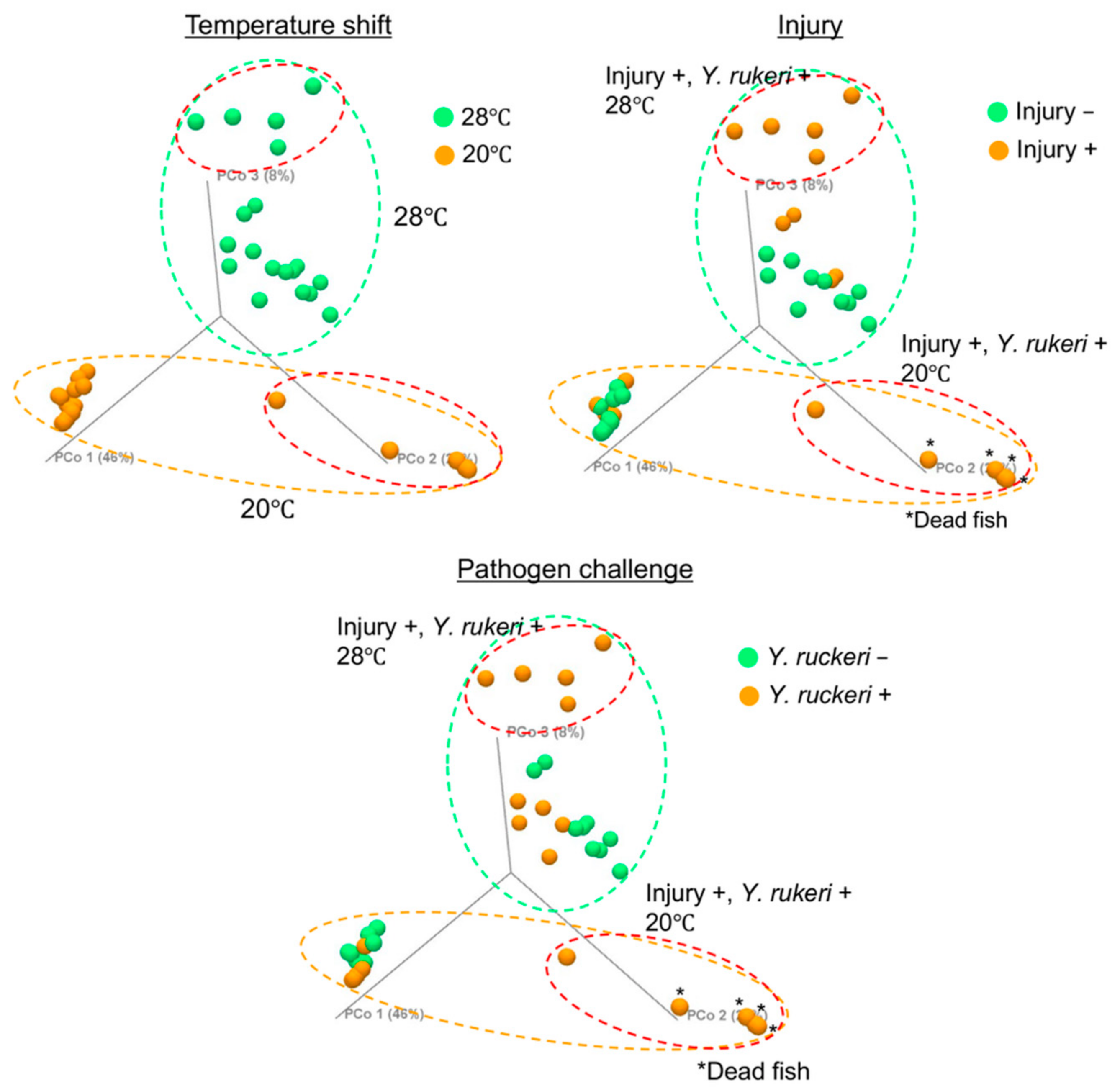 Biology 10 00166 g004
