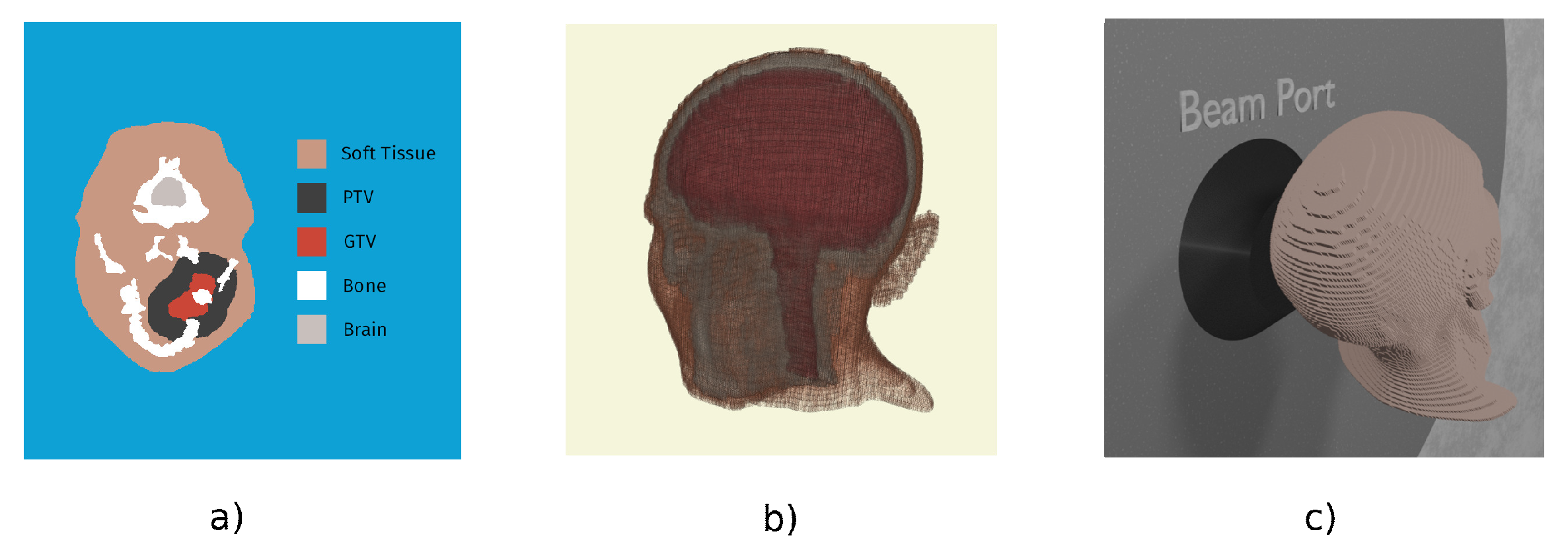 Biology 10 00174 g003