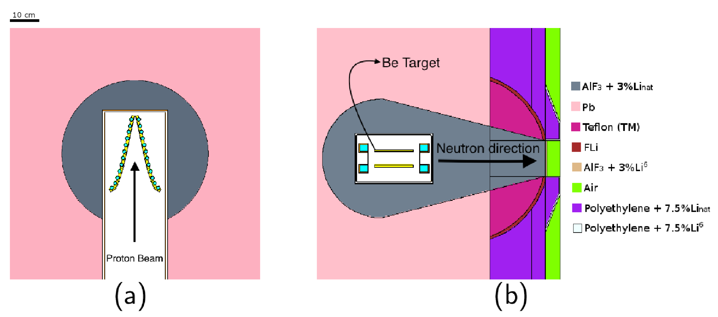 Biology 10 00174 g007