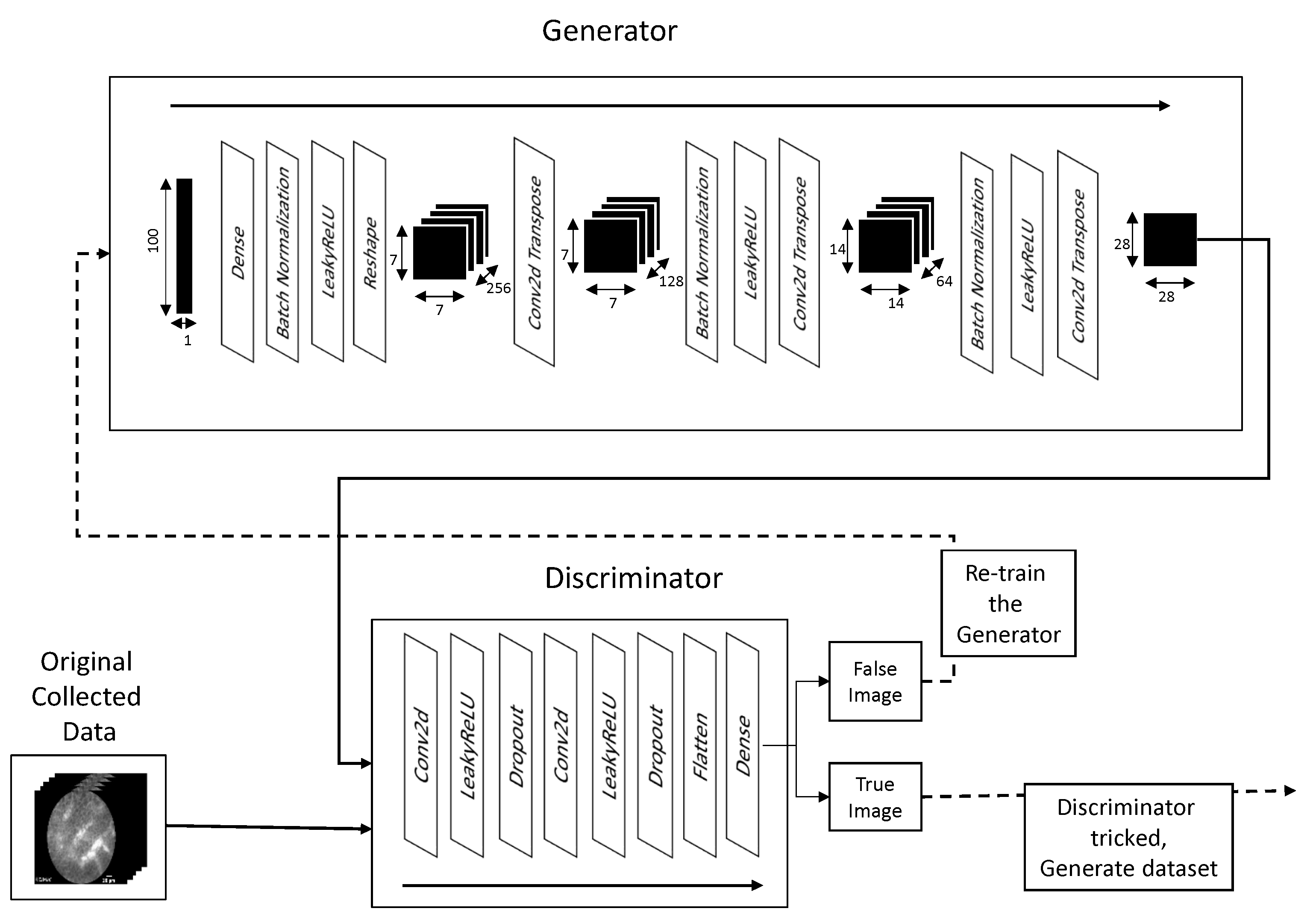 Biology 10 00175 g004