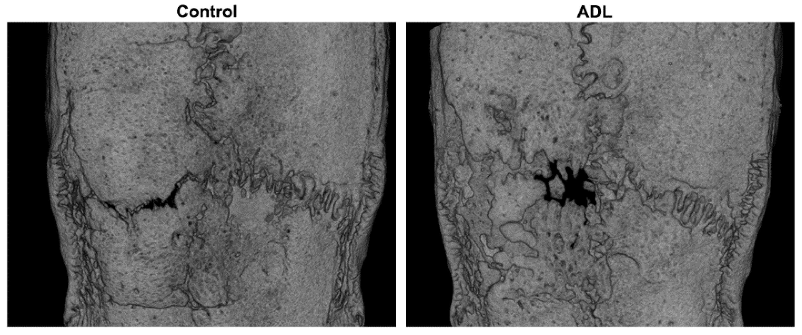 Biology 10 00196 g001