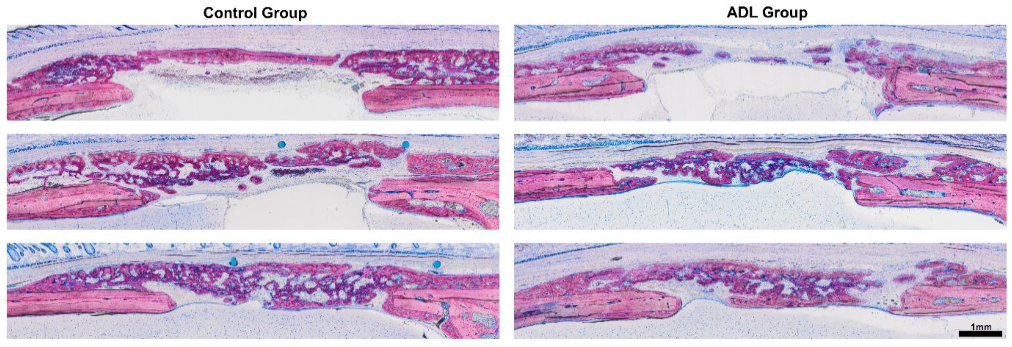 Biology 10 00196 g003