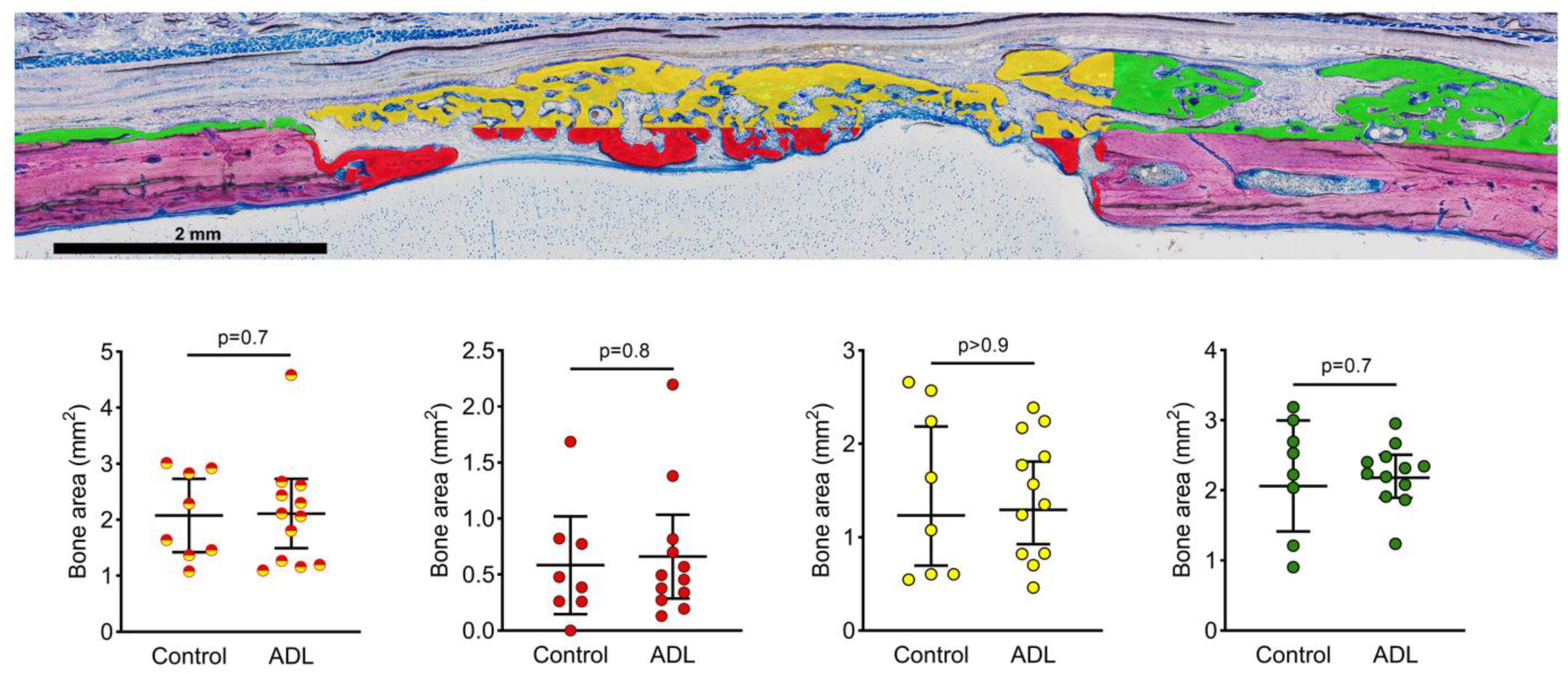 Biology 10 00196 g004