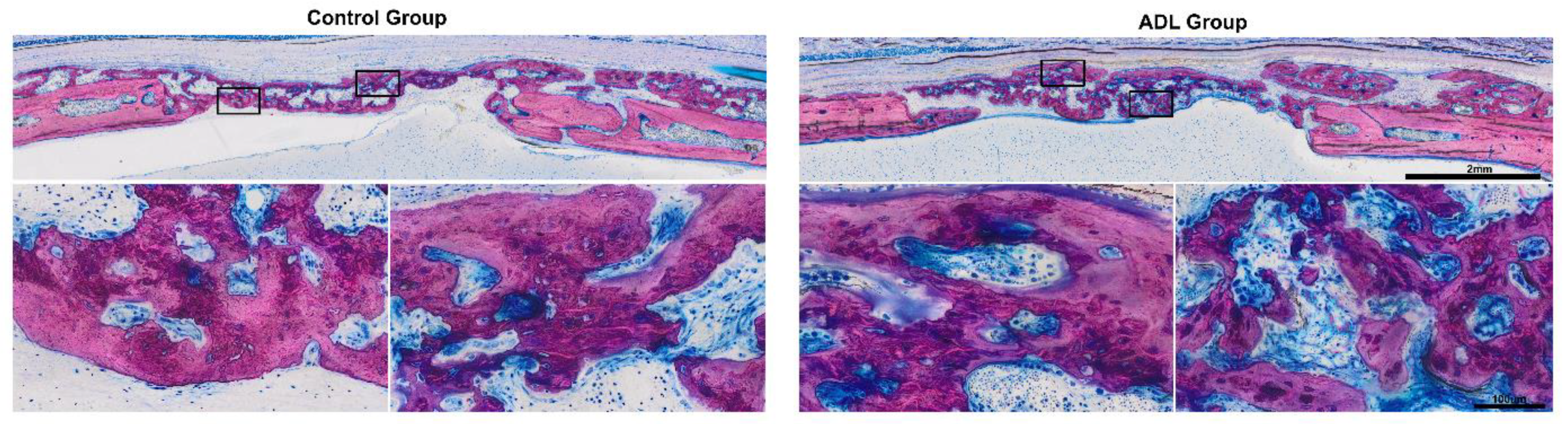 Biology 10 00196 g005