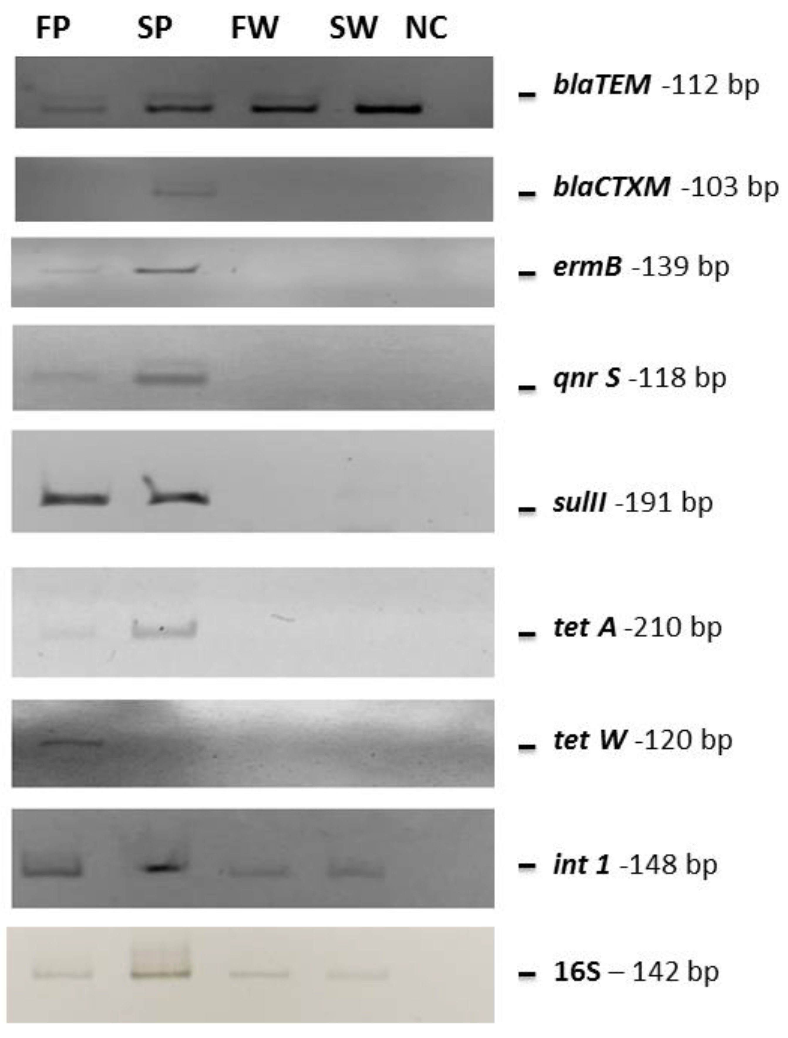 Biology 10 00200 g004