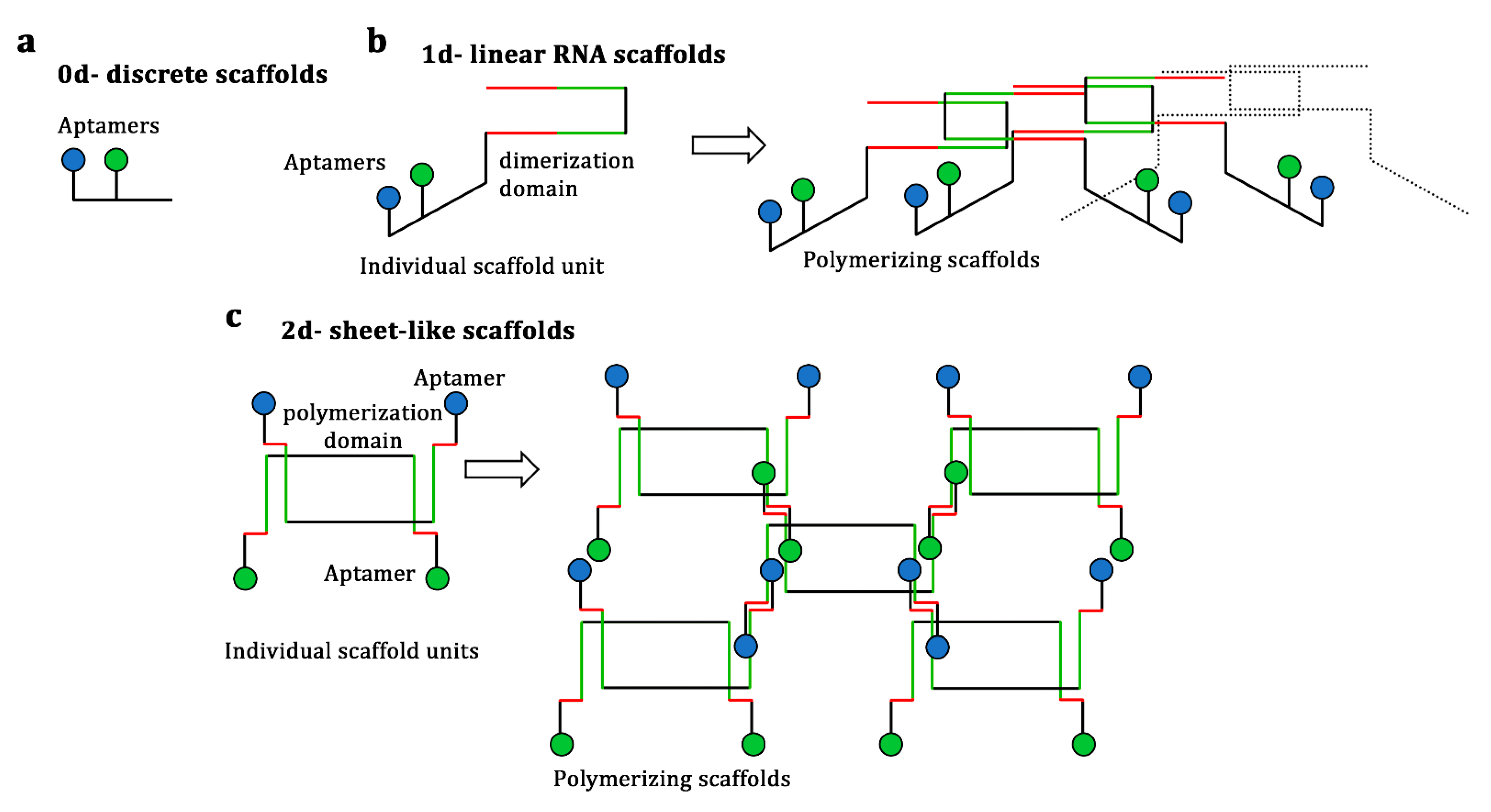 Biology 10 00216 g003 Biology 10 00216 g003