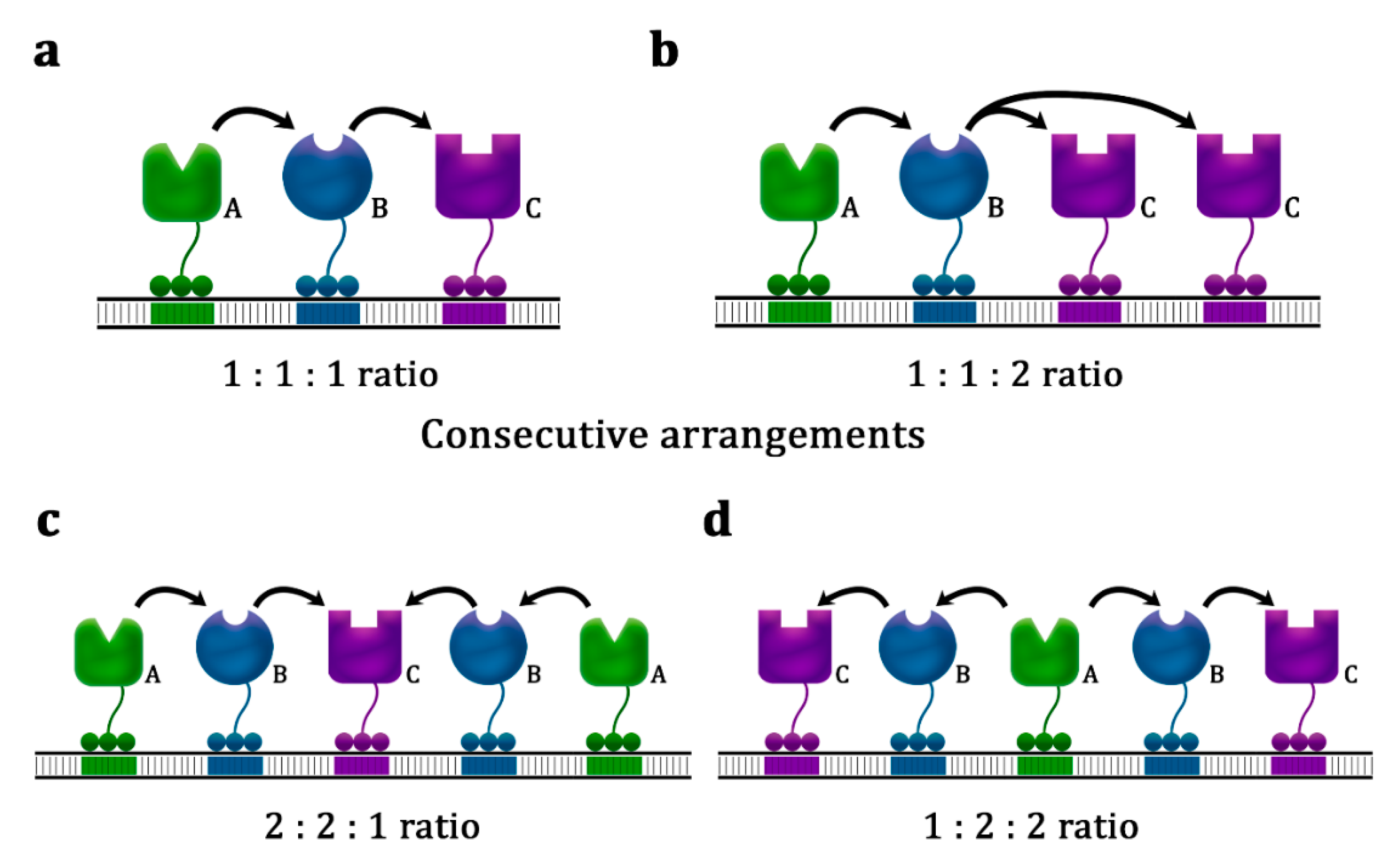Biology 10 00216 g004 Biology 10 00216 g004