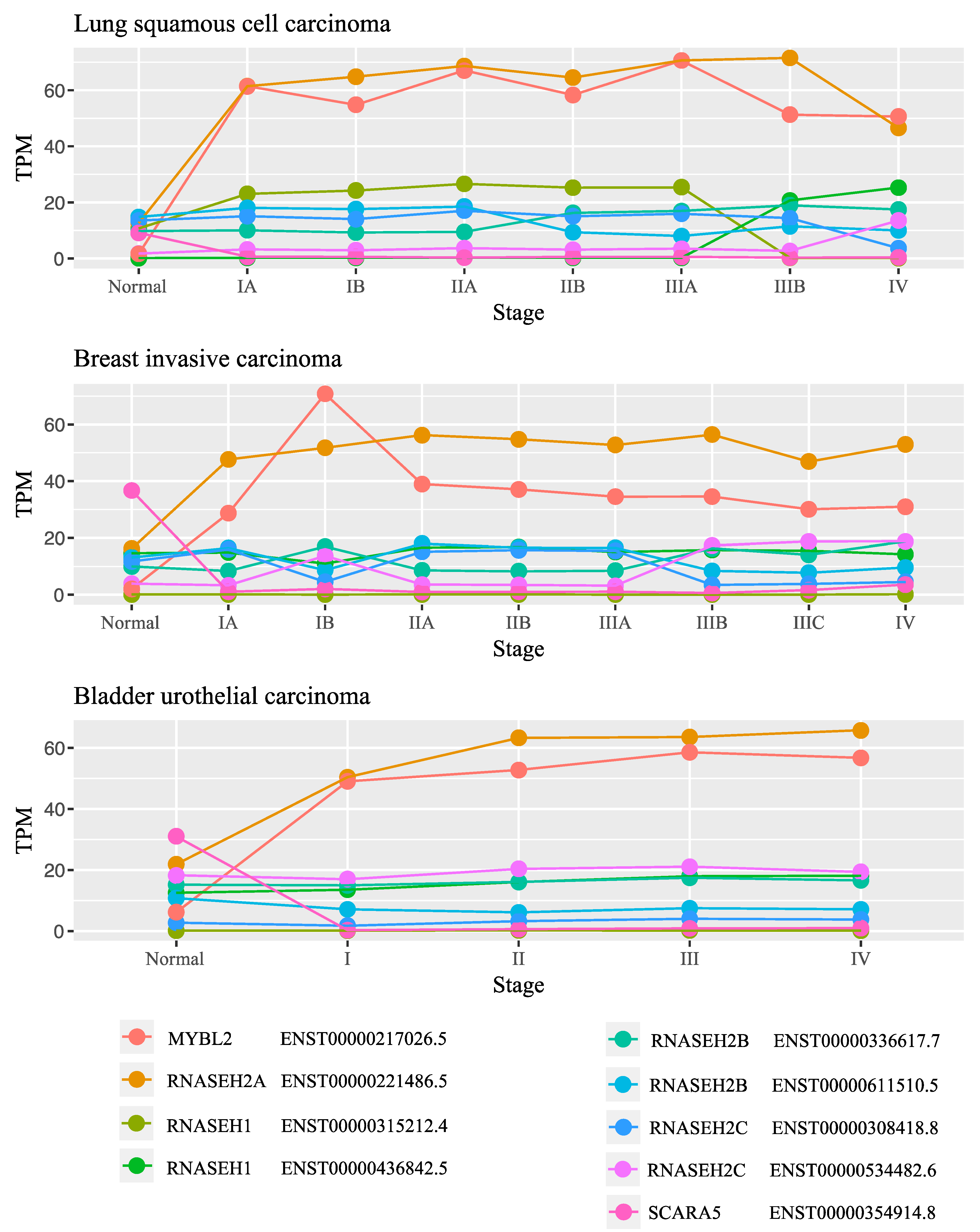 Biology 10 00221 g003
