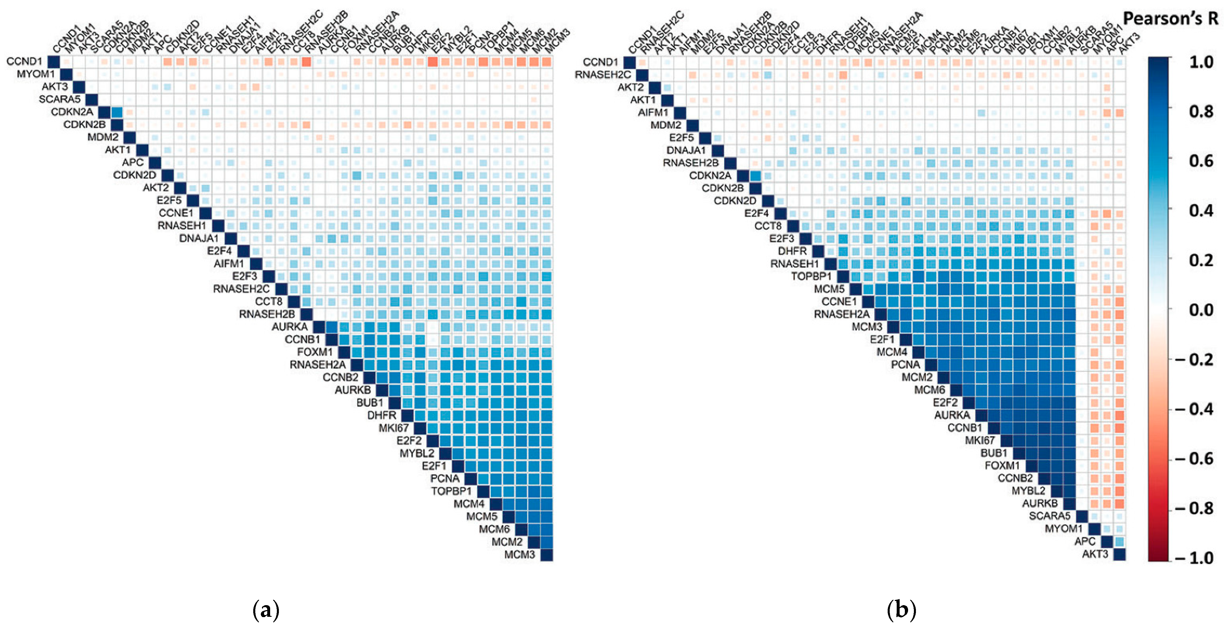 Biology 10 00221 g005