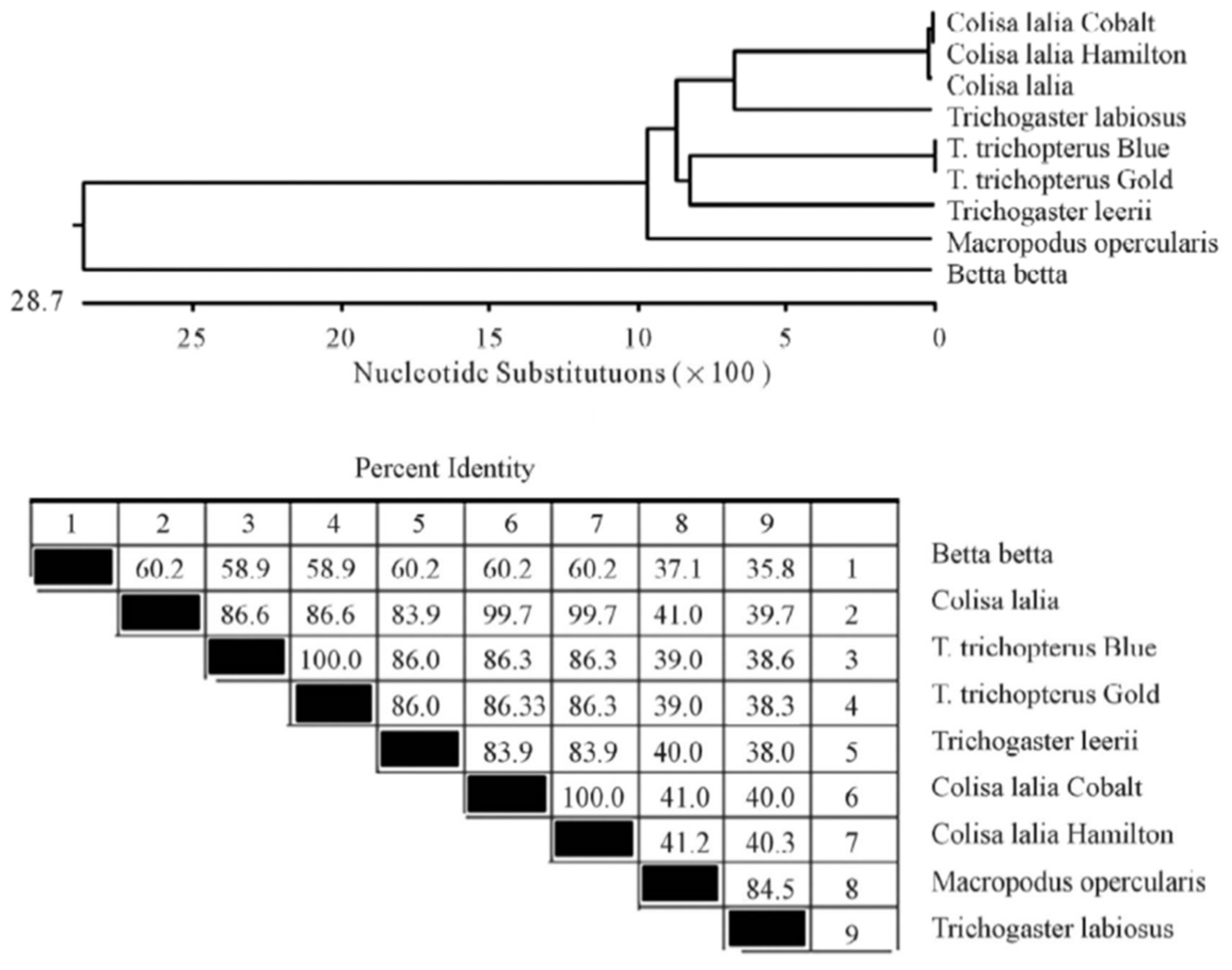 Biology 10 00228 g005