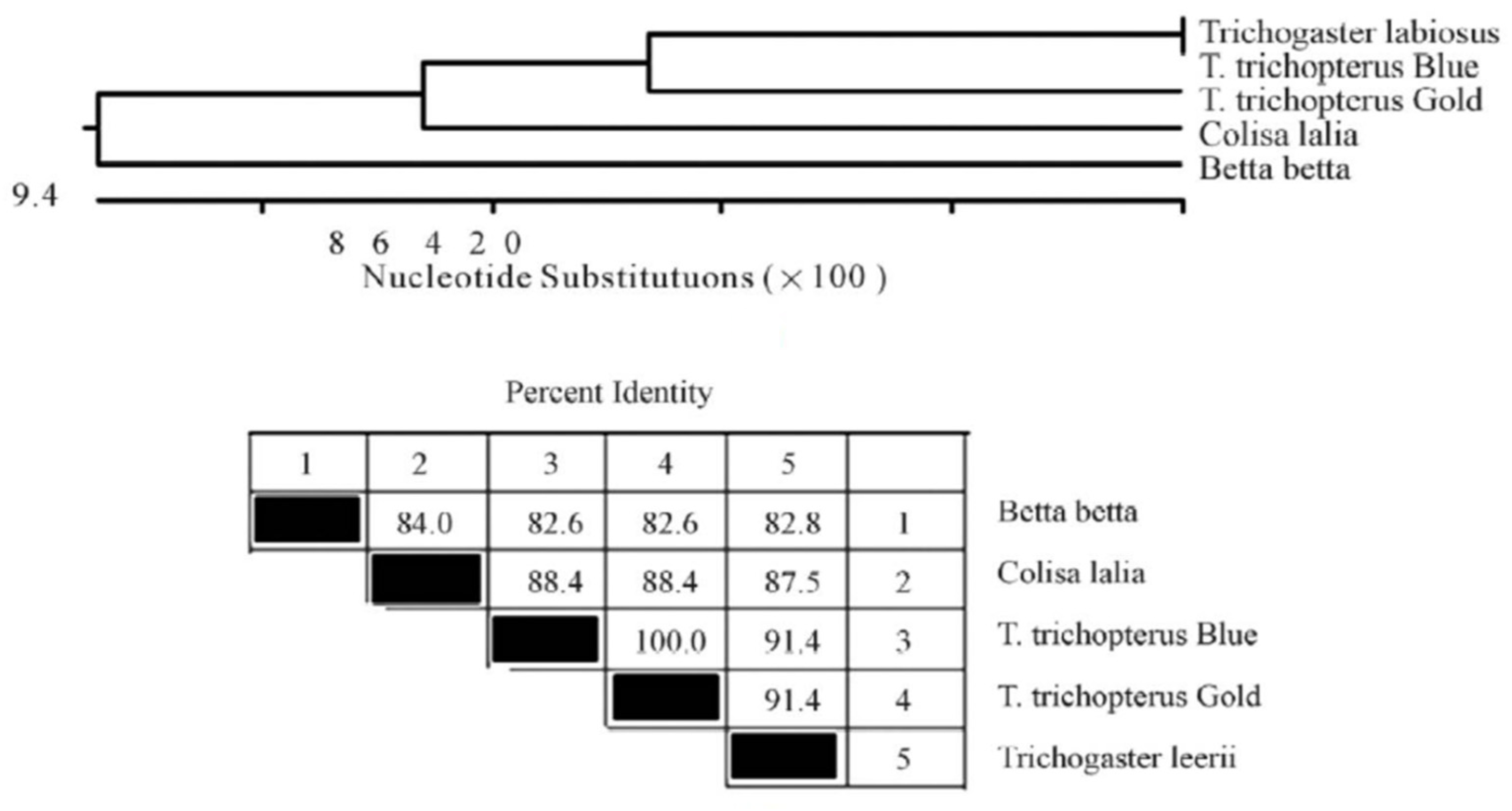 Biology 10 00228 g007