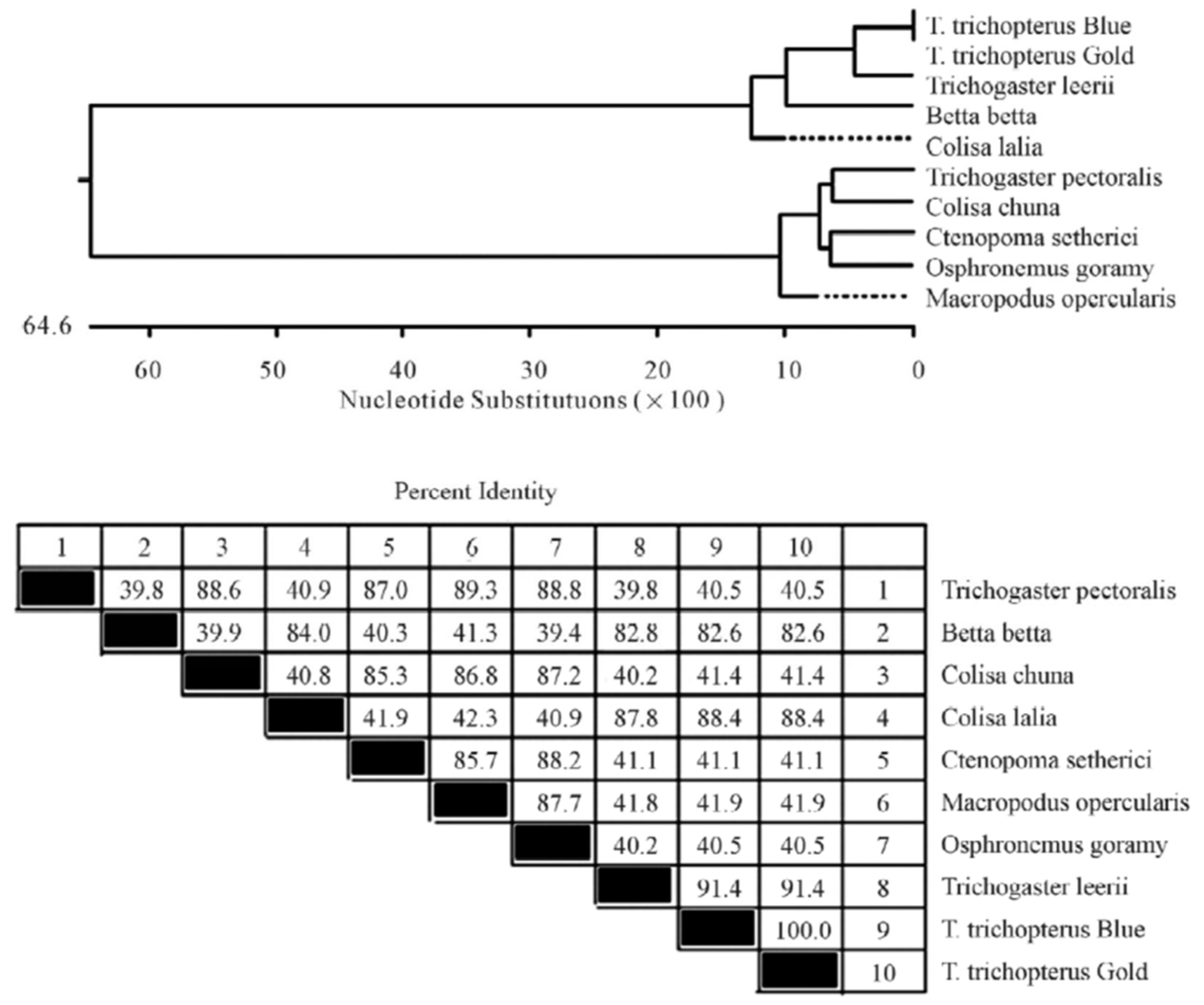 Biology 10 00228 g009