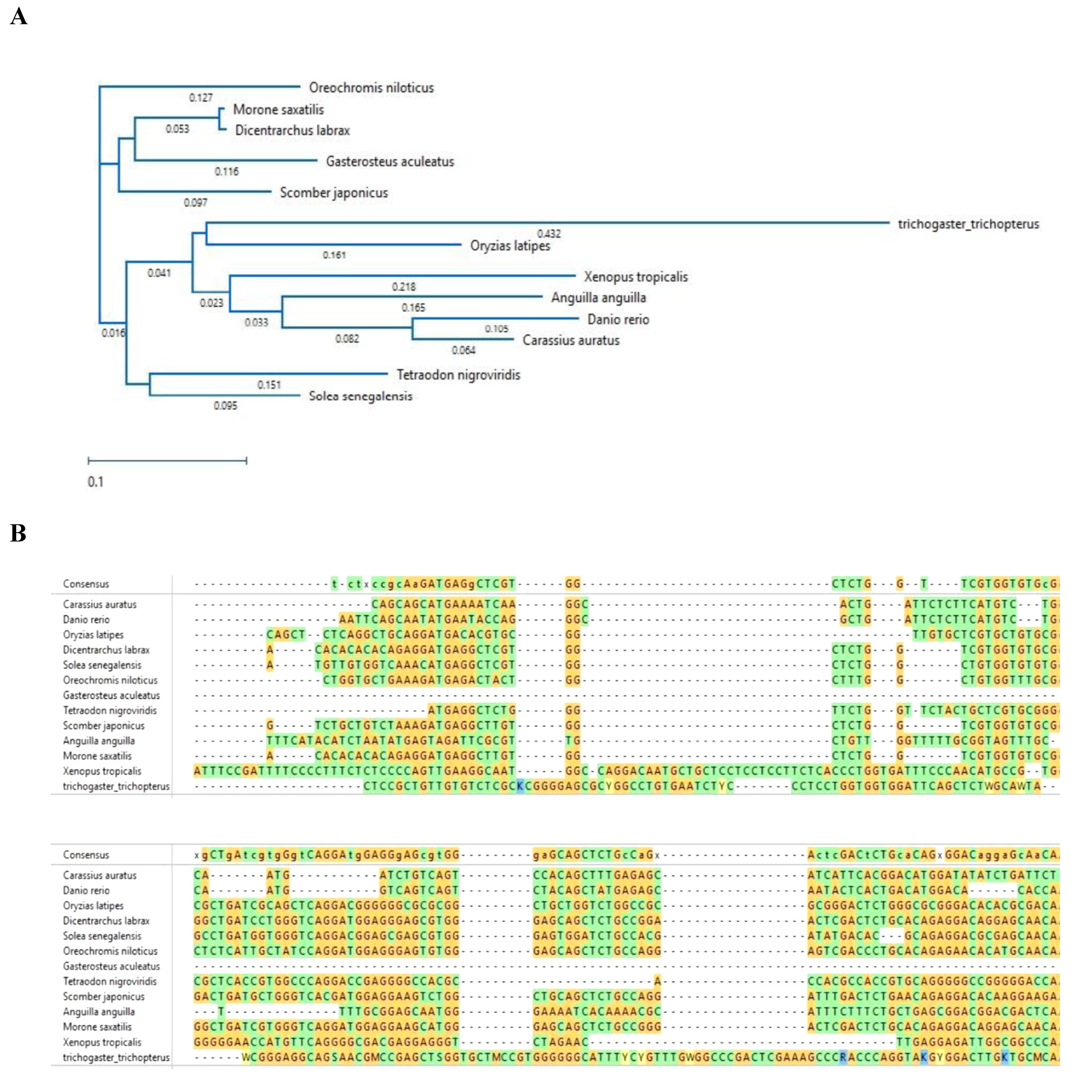 Biology 10 00228 g010