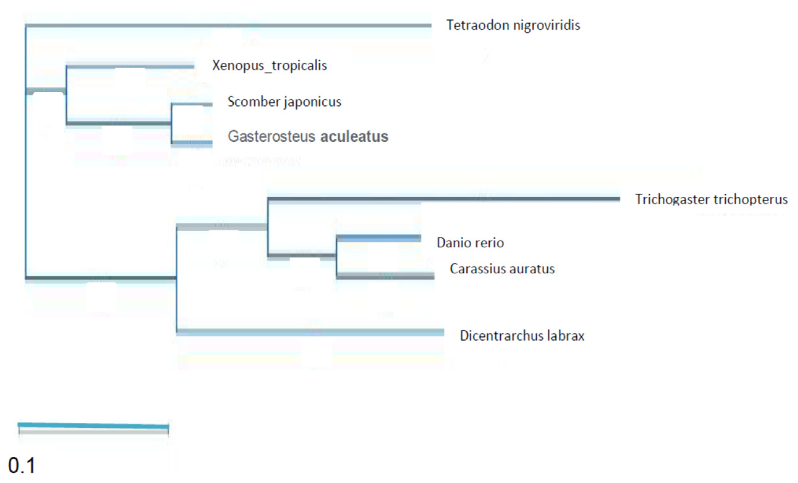 Biology 10 00228 g011