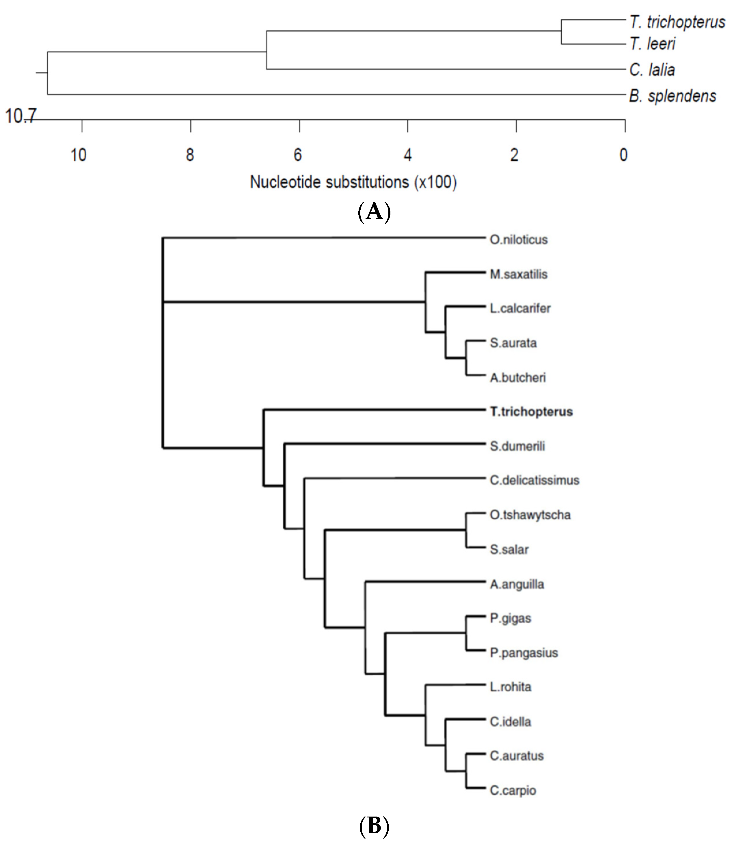 Biology 10 00228 g021