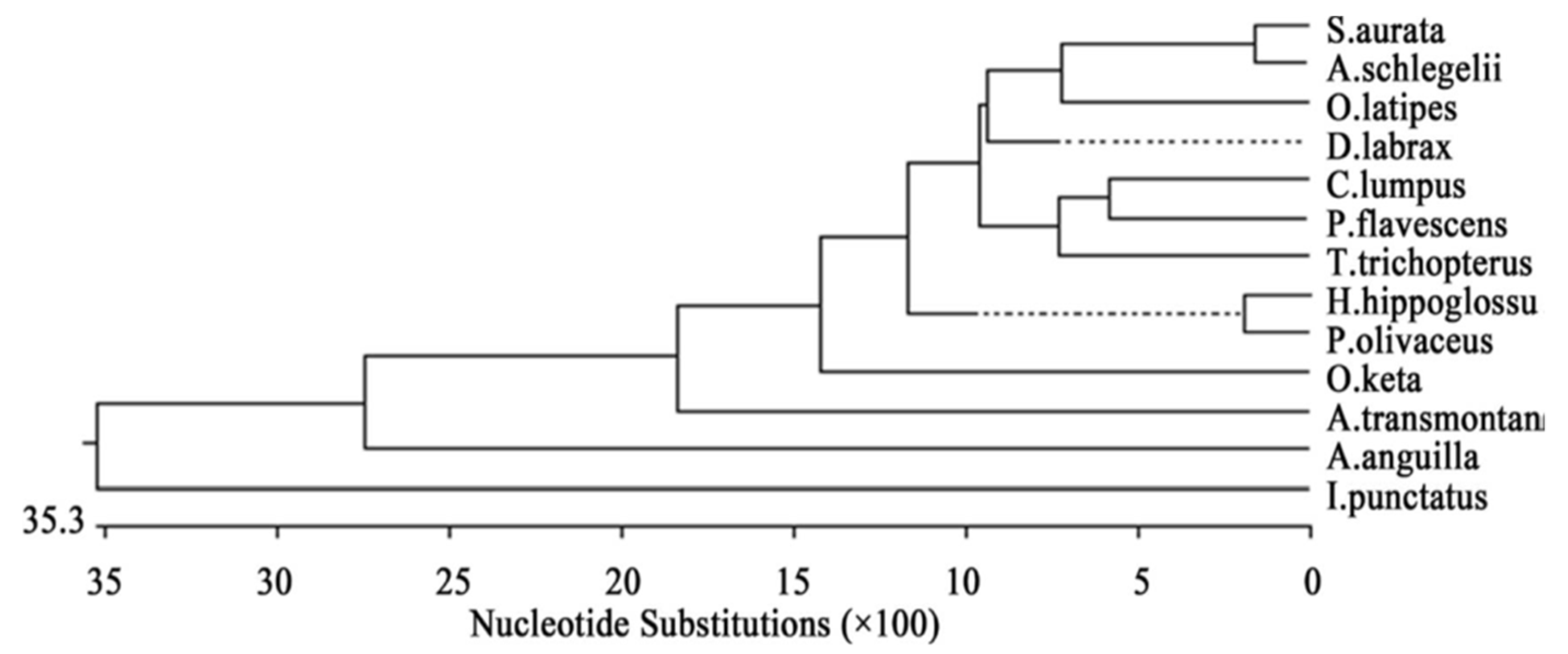 Biology 10 00228 g023
