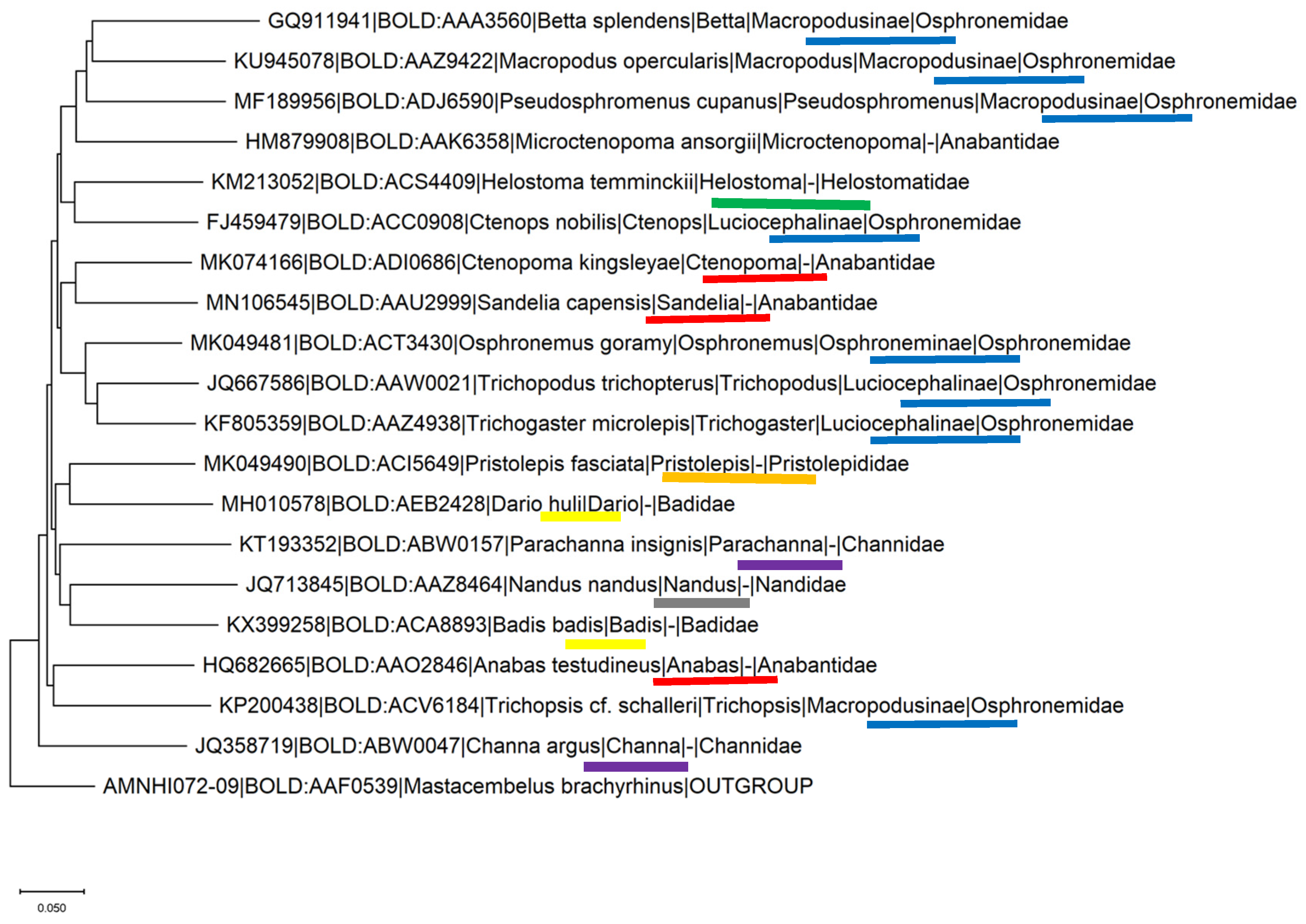 Biology 10 00228 g025