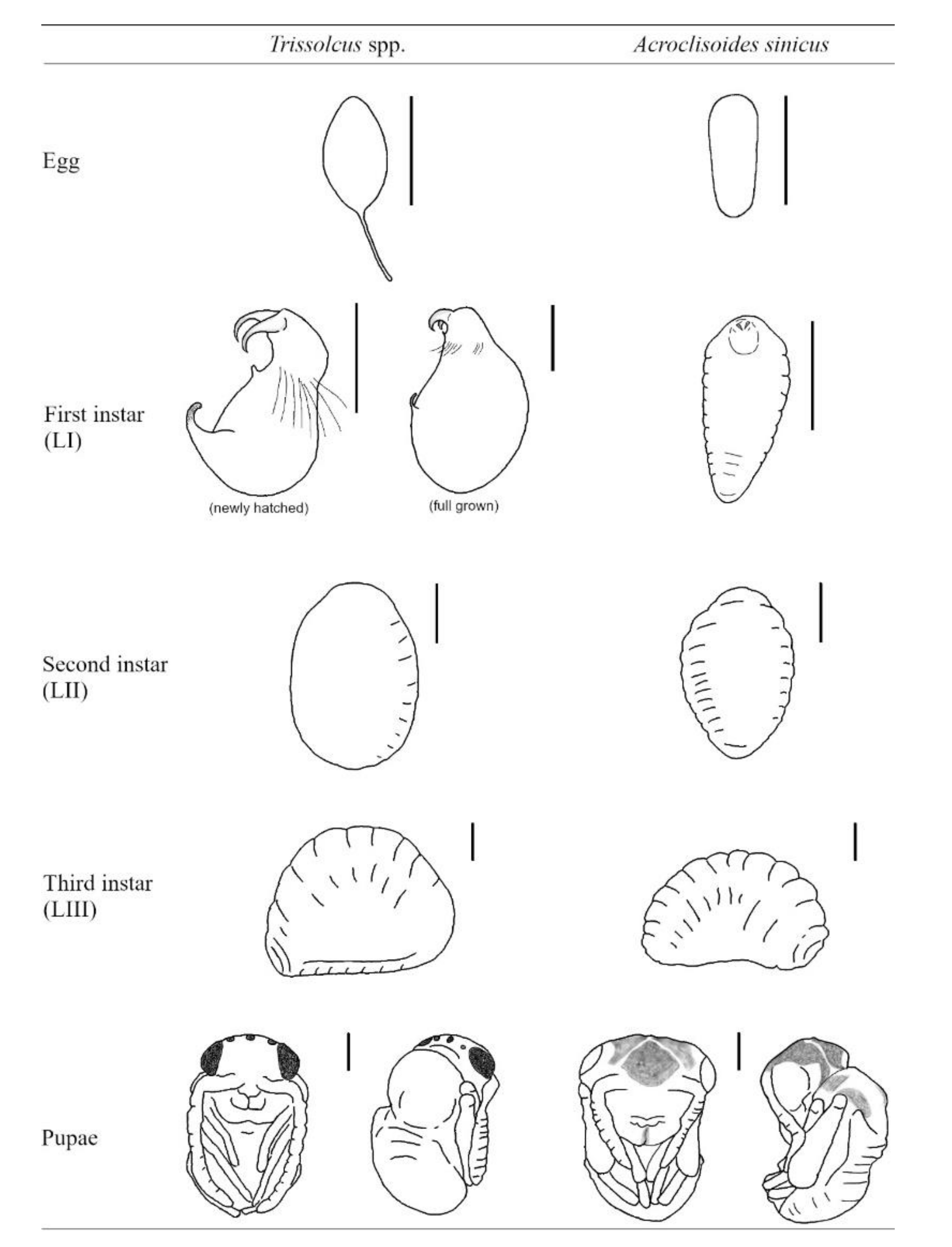 Biology 10 00229 g001