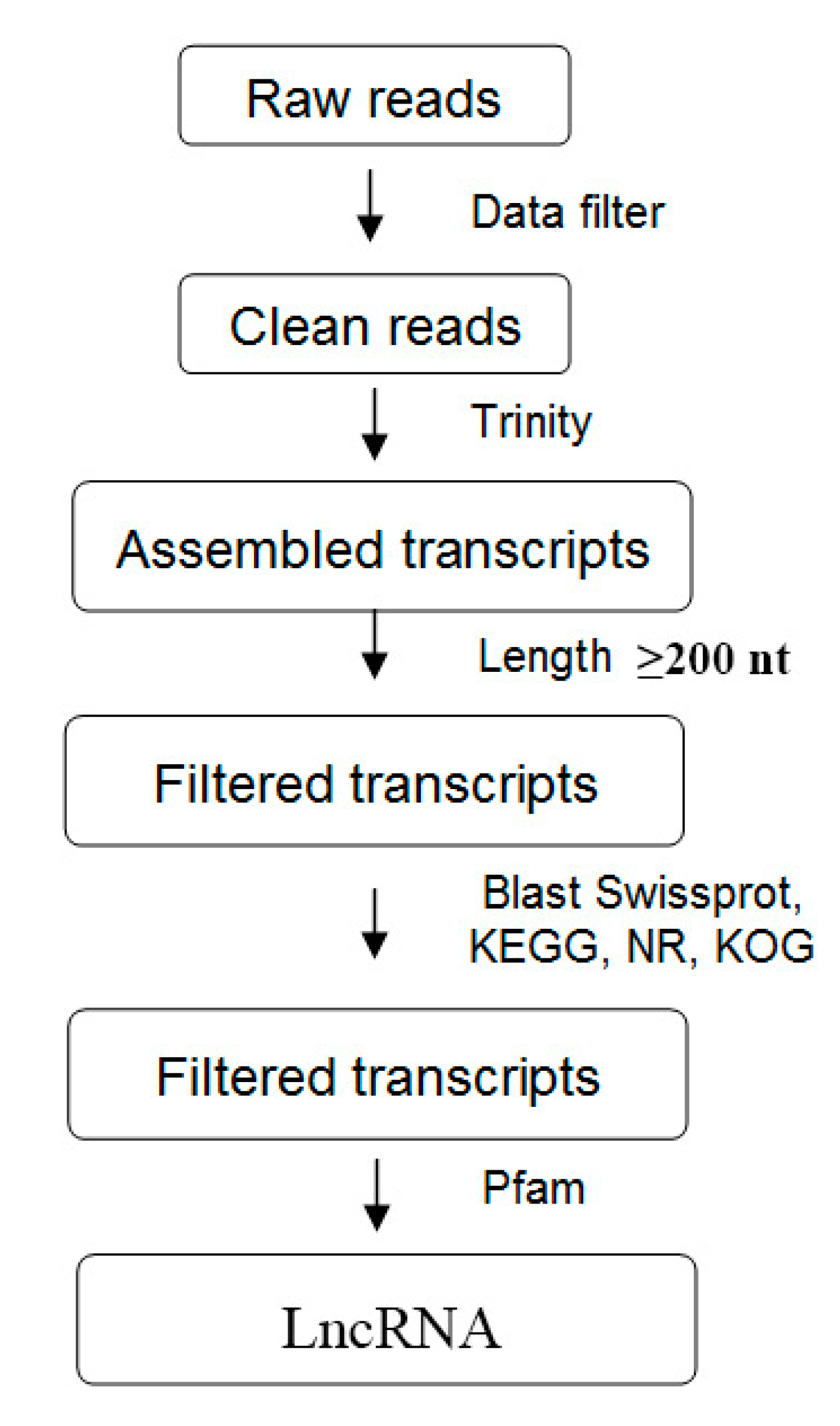 Biology 10 00232 g001