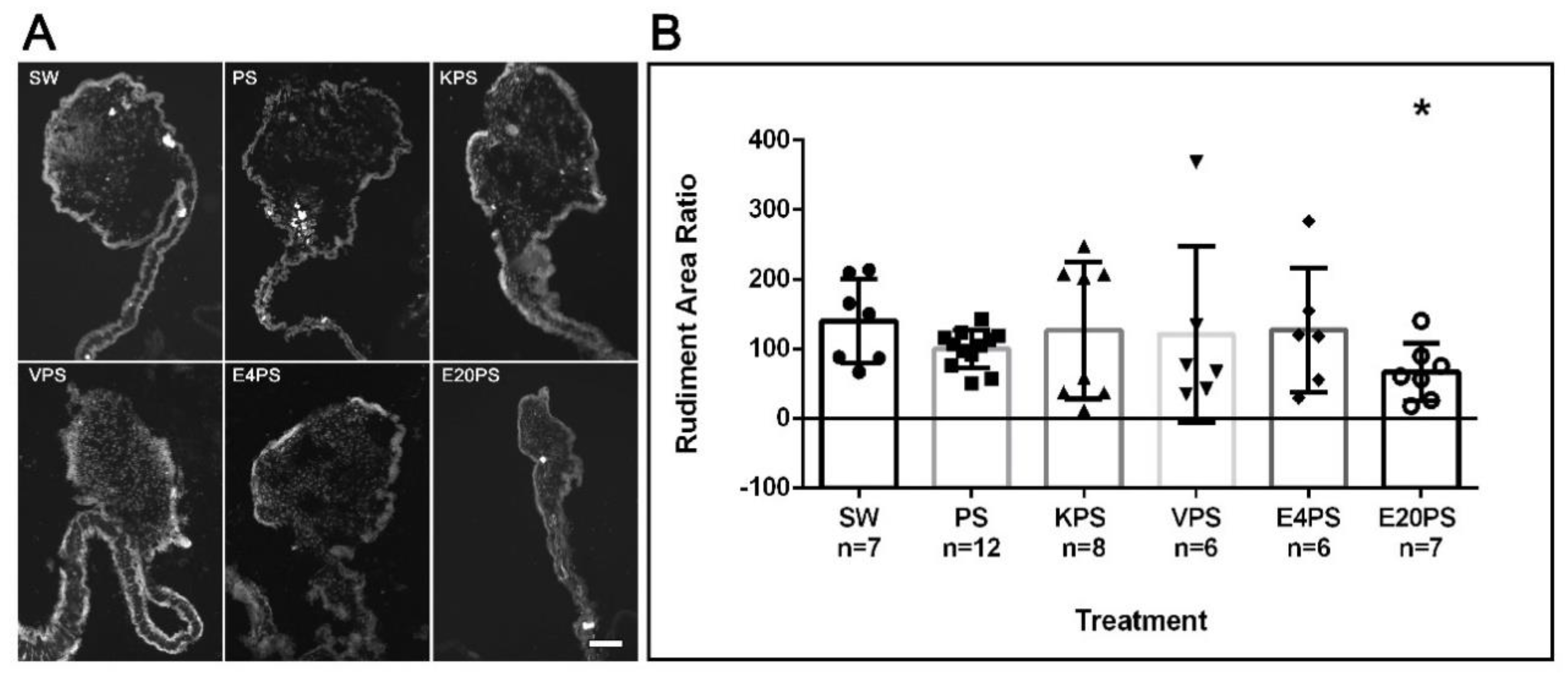 Biology 10 00236 g001 Biology 10 00236 g001