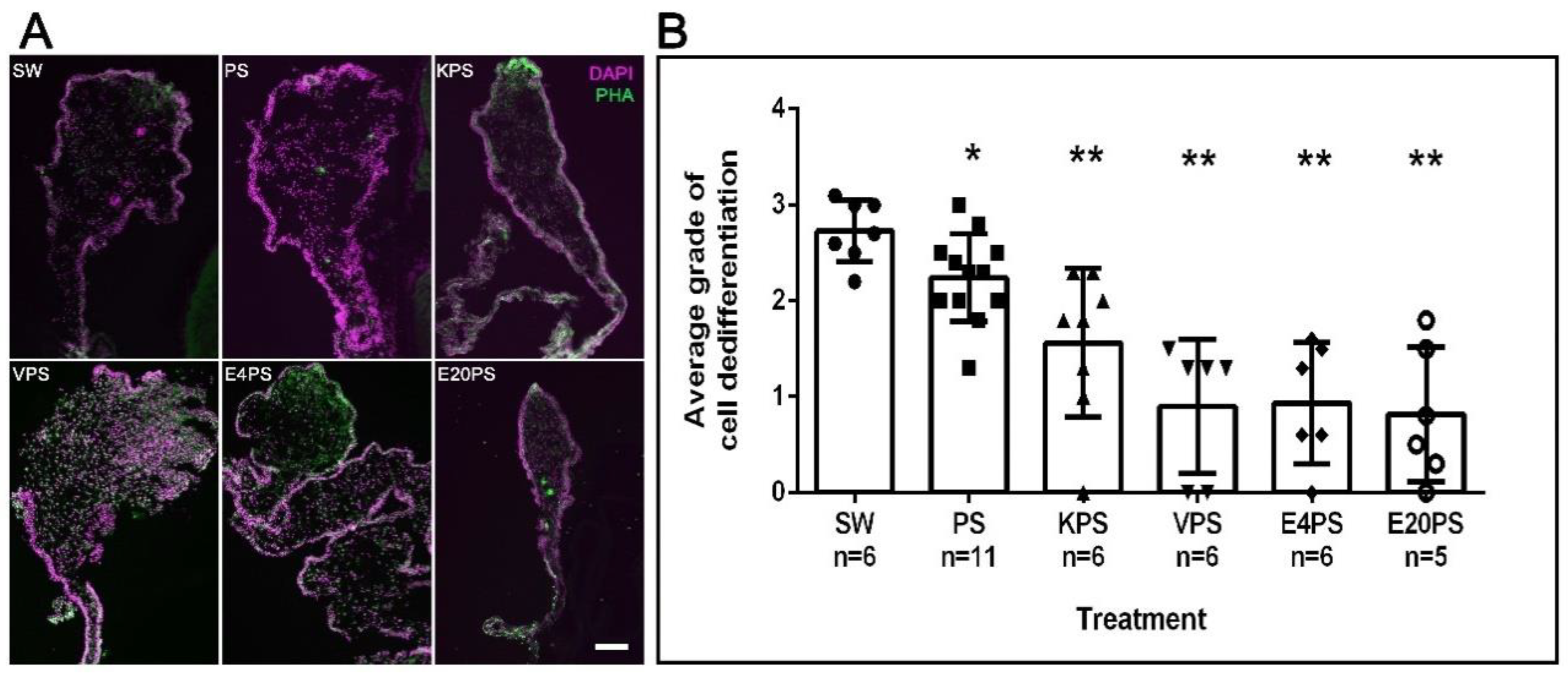 Biology 10 00236 g002 Biology 10 00236 g002