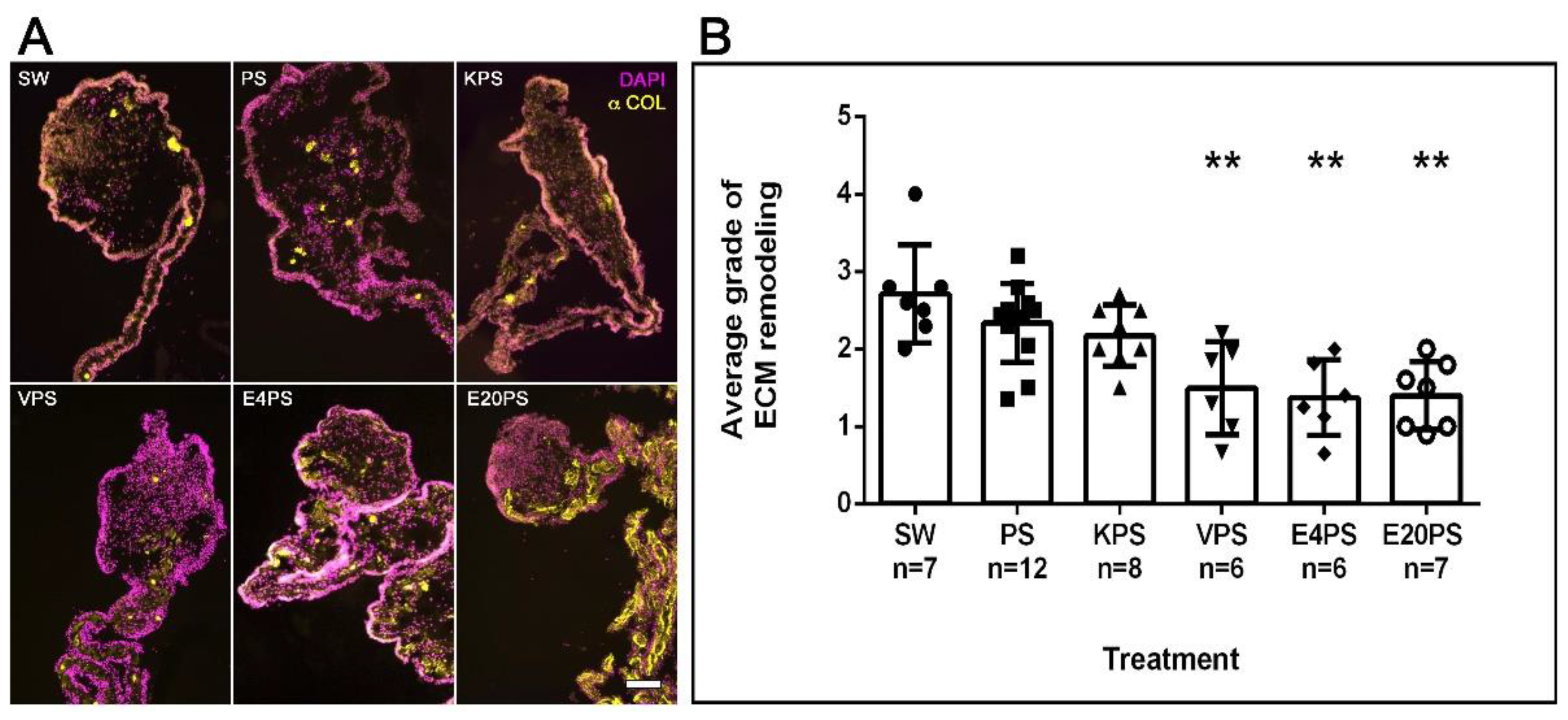 Biology 10 00236 g003 Biology 10 00236 g003
