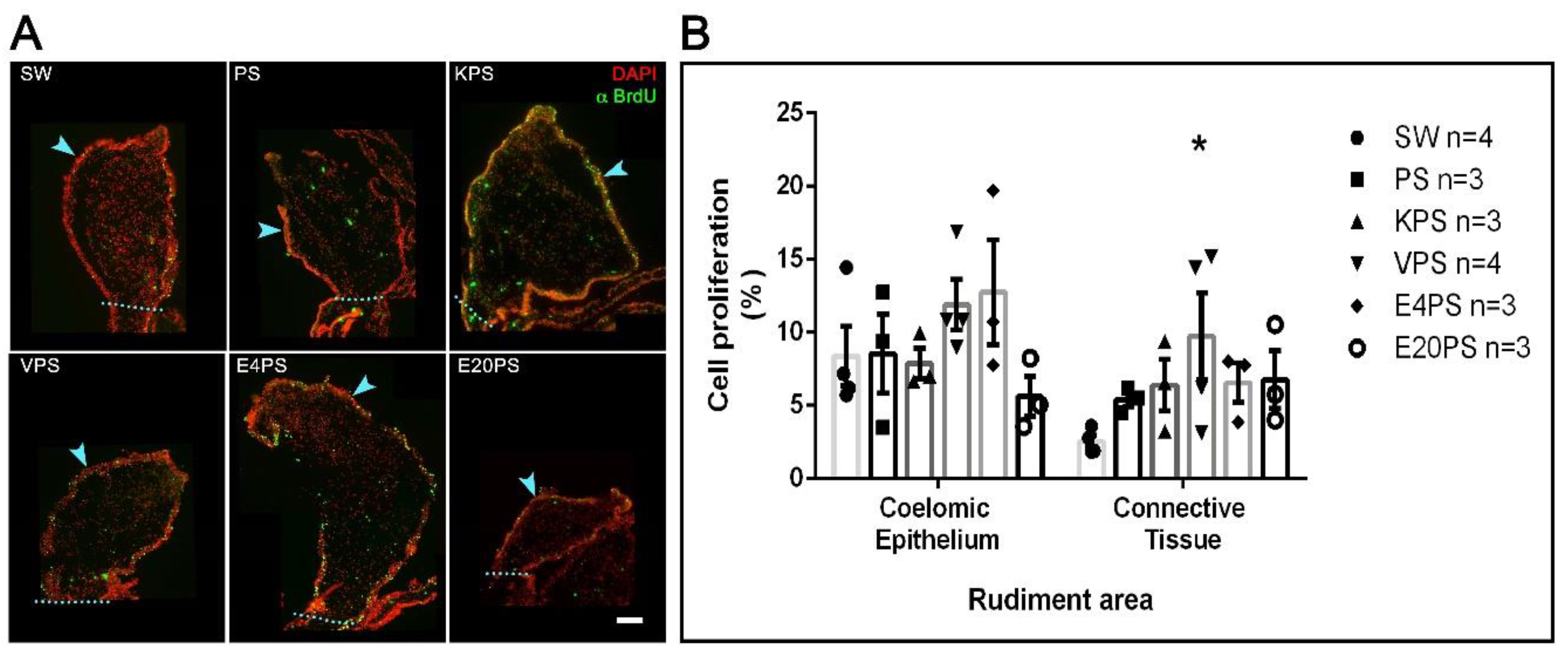Biology 10 00236 g004 Biology 10 00236 g004