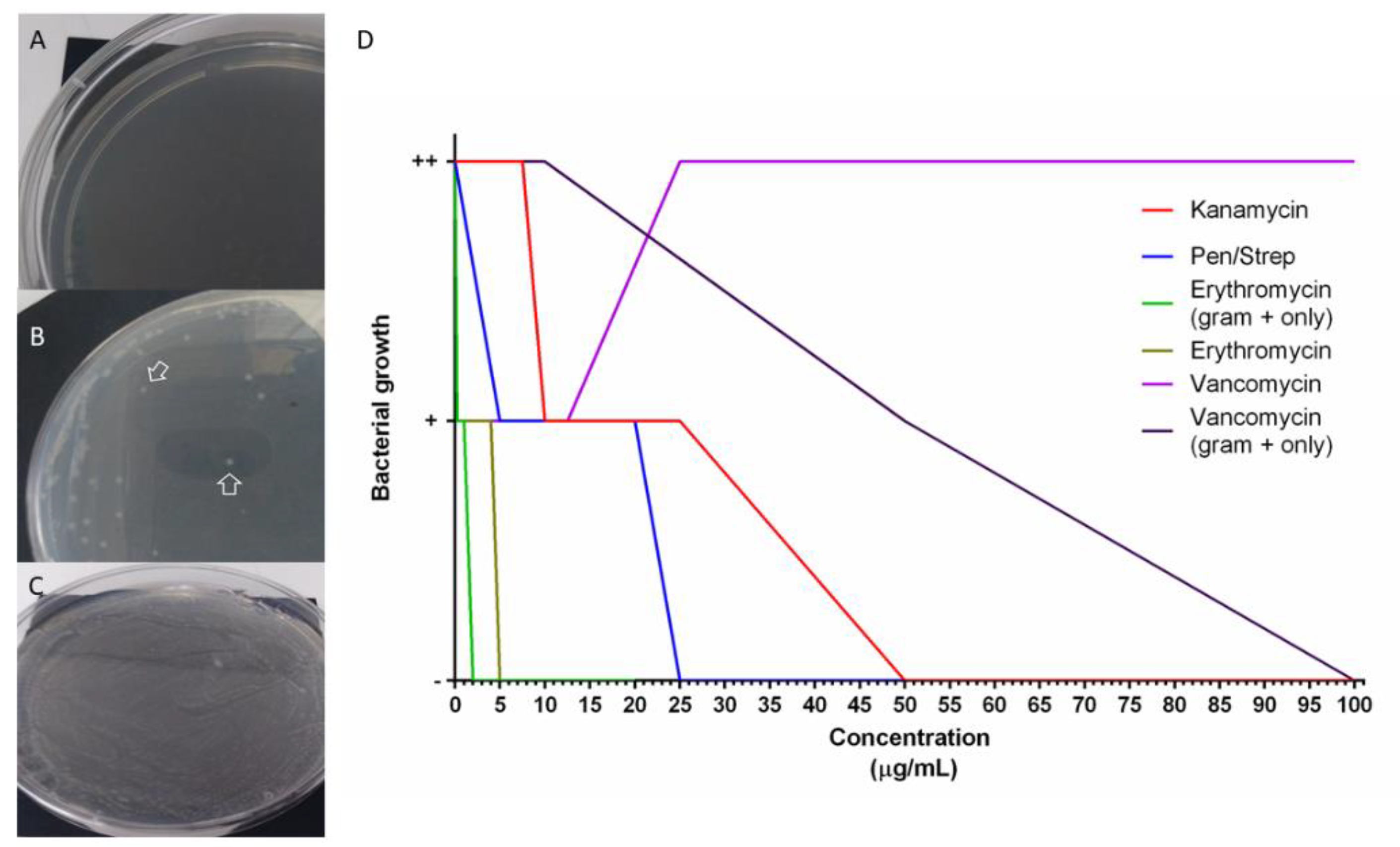 Biology 10 00236 g006 Biology 10 00236 g006