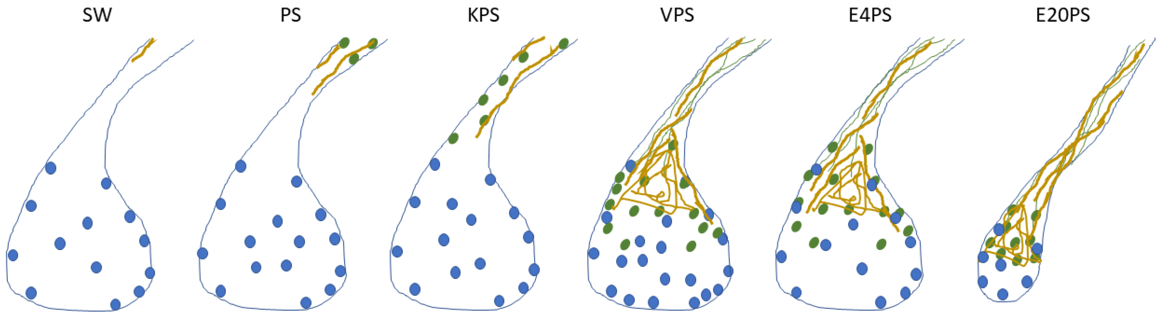 Biology 10 00236 g007 Biology 10 00236 g007