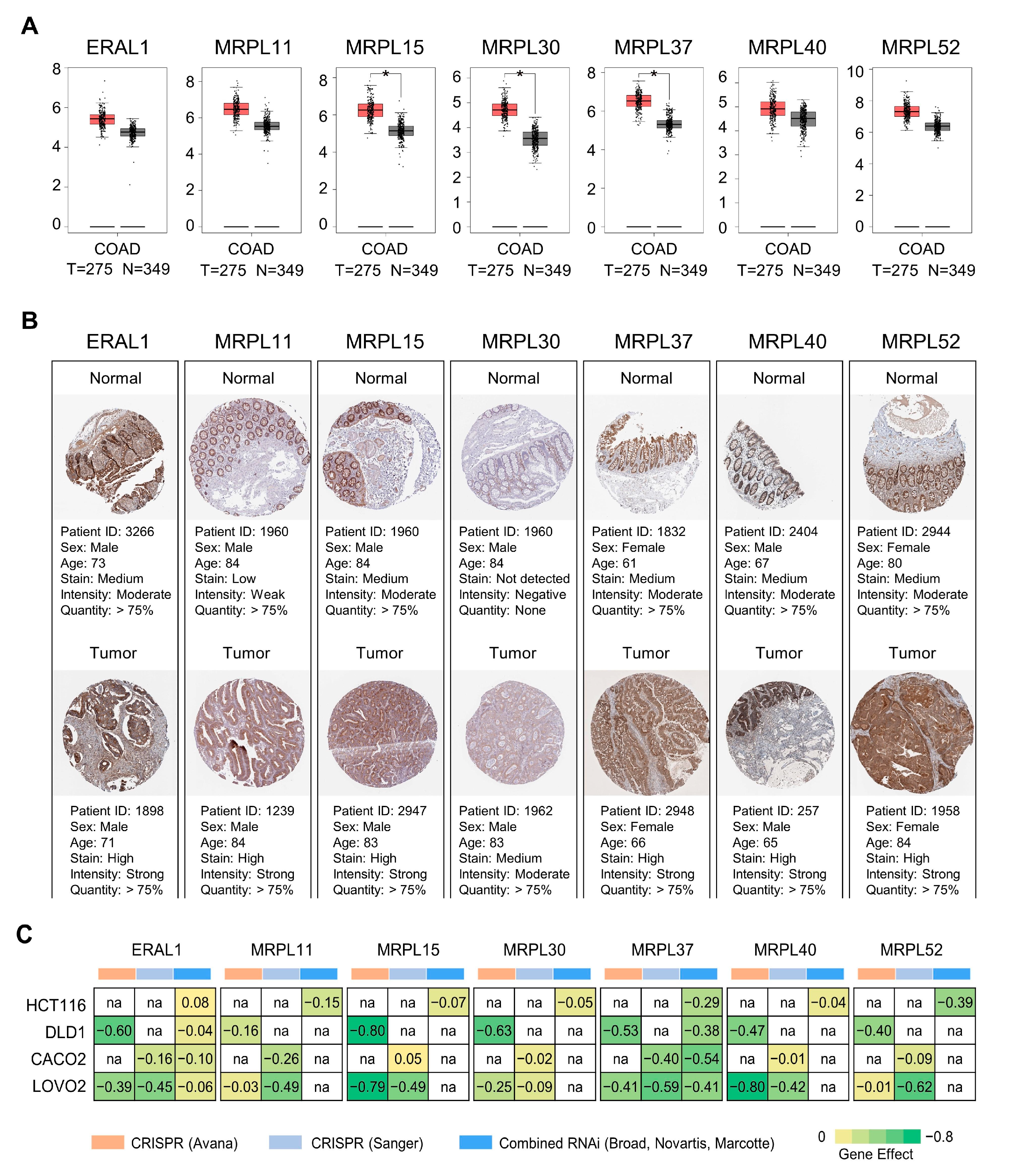 Biology 10 00250 g006