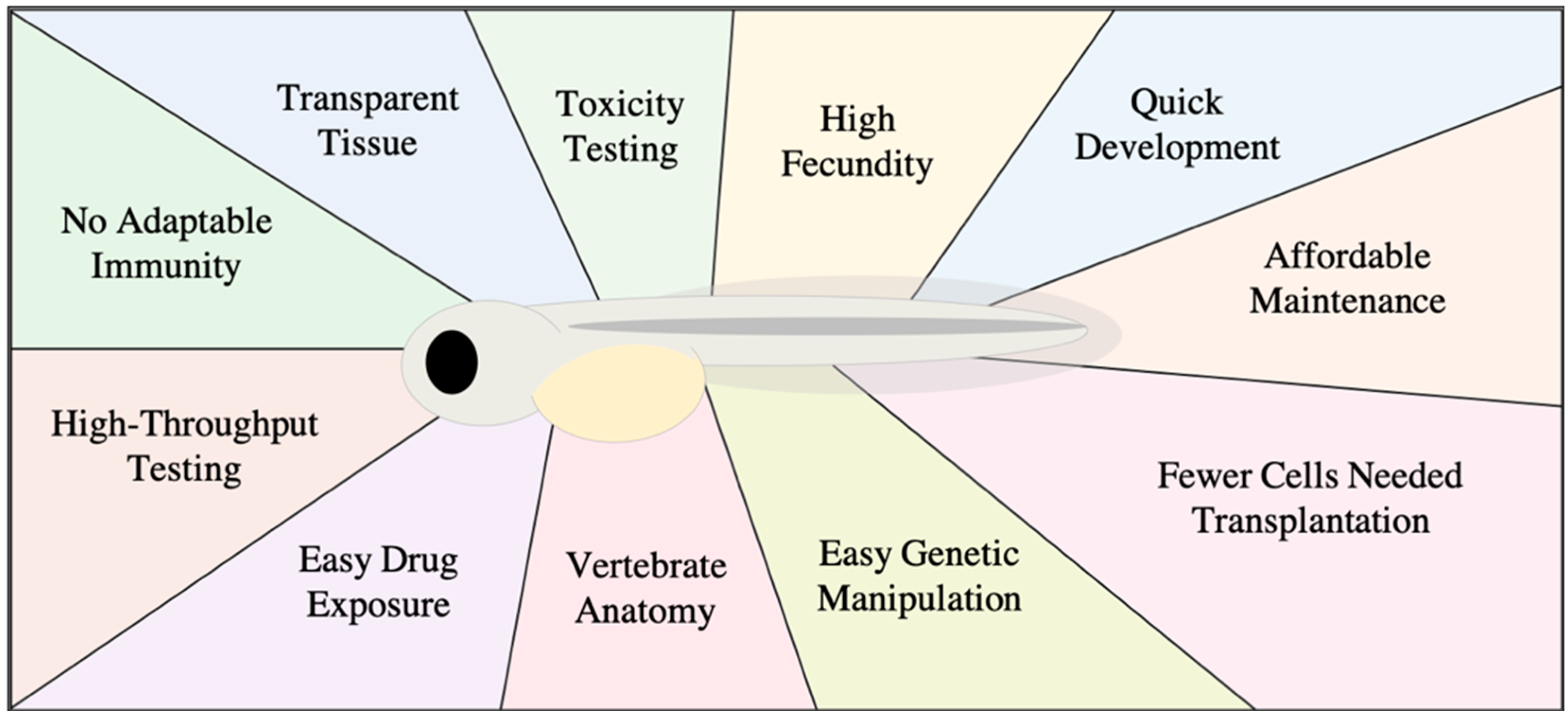 Biology 10 00252 g001 Biology 10 00252 g001