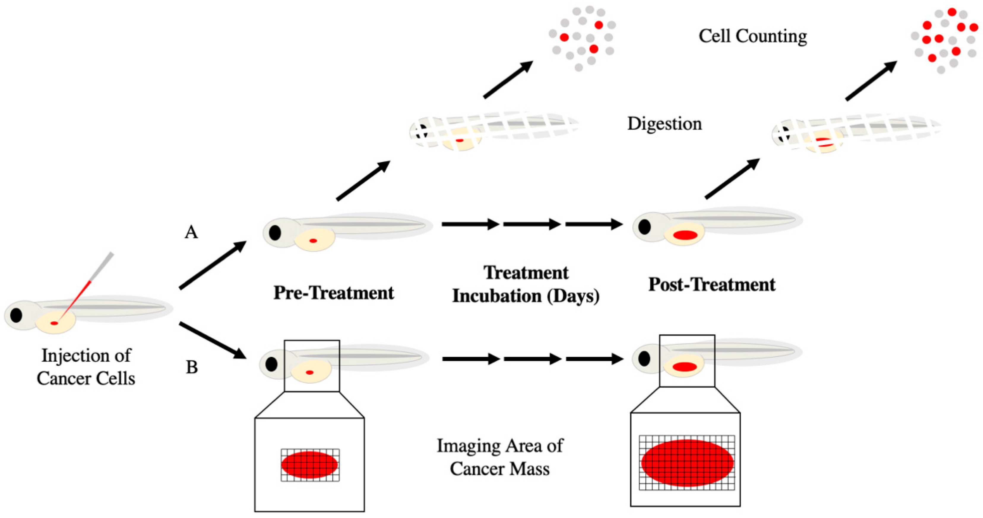 Biology 10 00252 g003 Biology 10 00252 g003