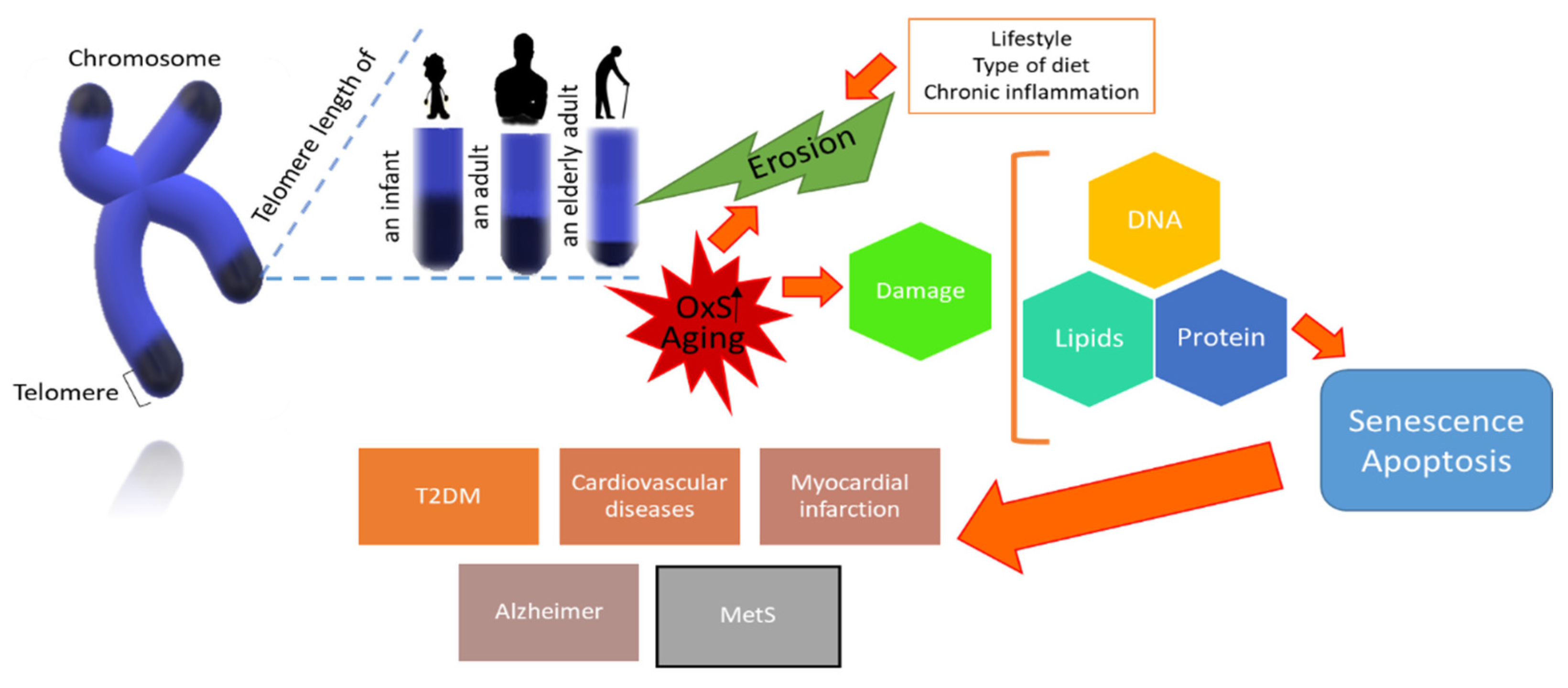 Biology 10 00253 g003