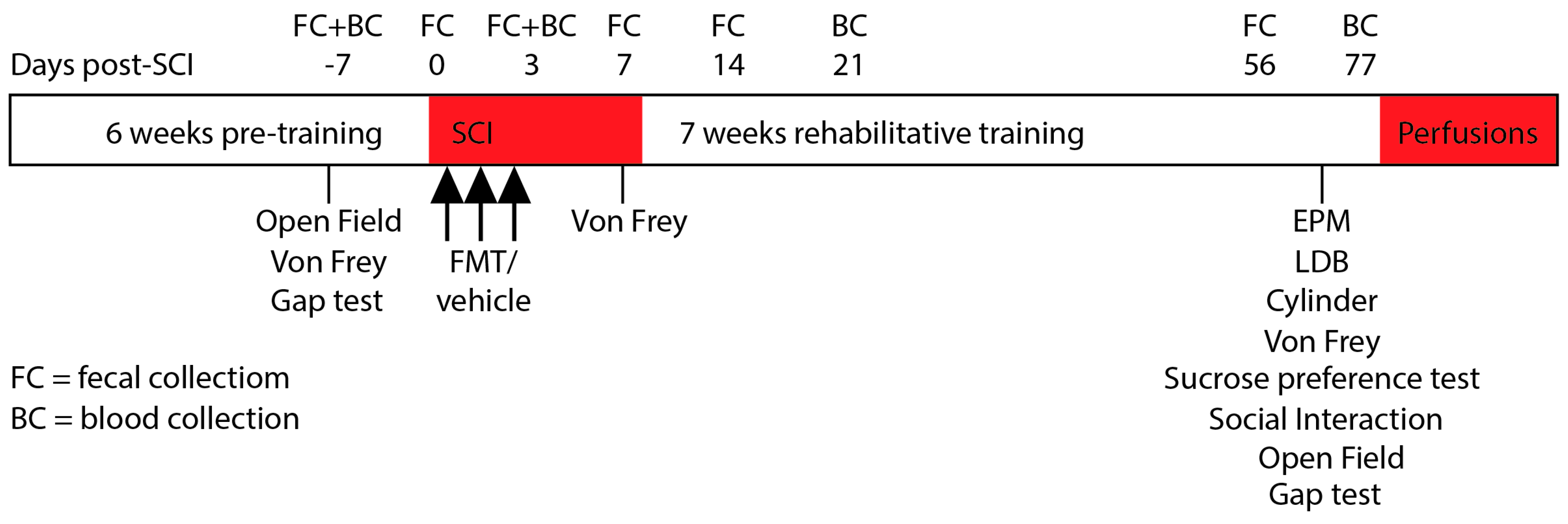 Biology 10 00254 g001