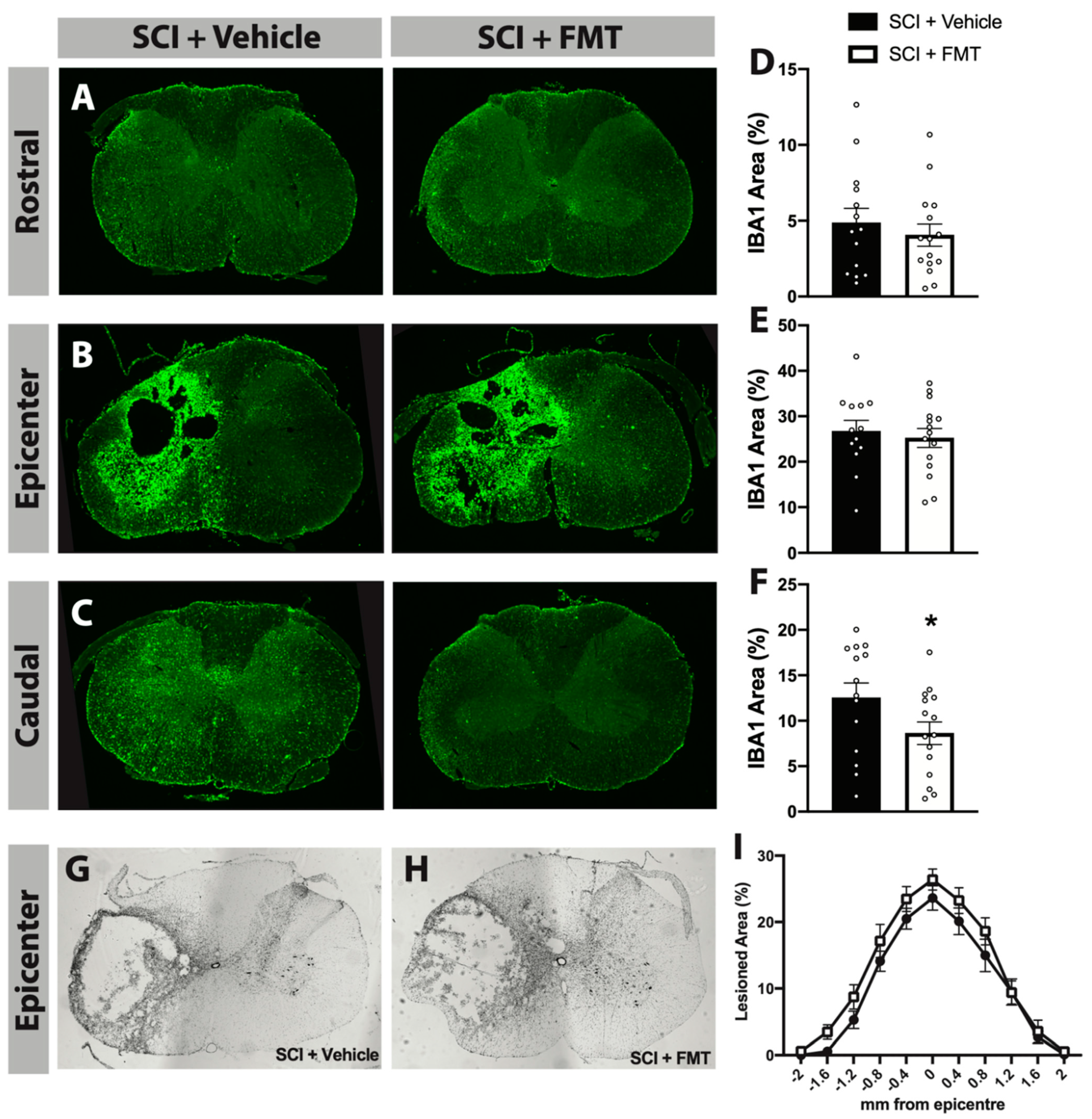 Biology 10 00254 g005