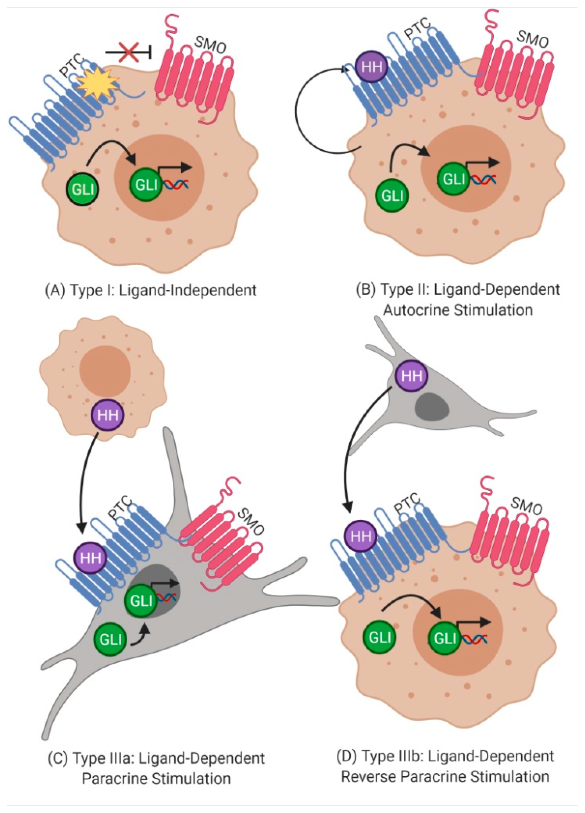 Biology 10 00255 g002