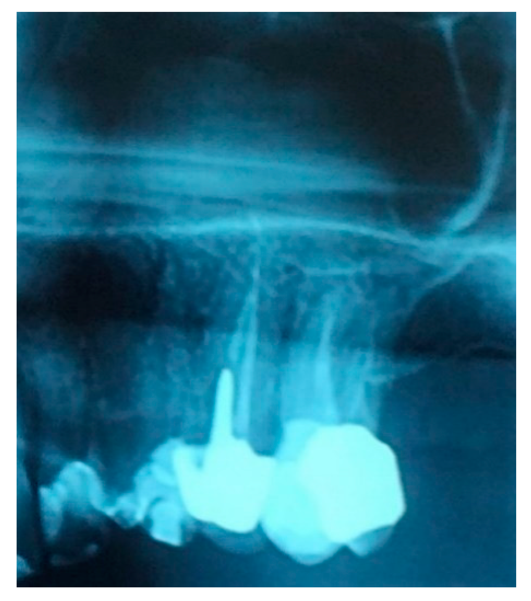 Biology 10 00262 g001