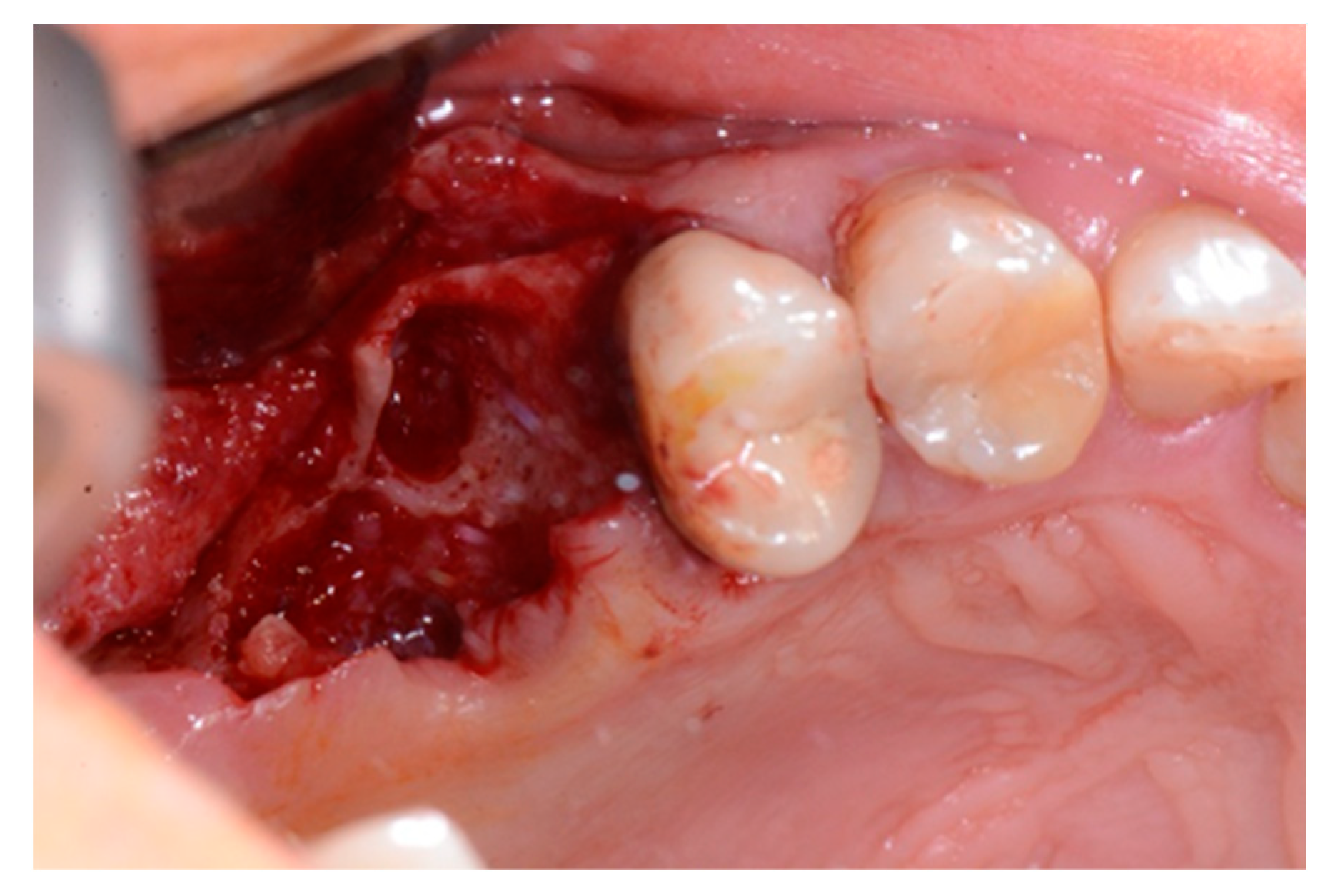 Biology 10 00262 g003