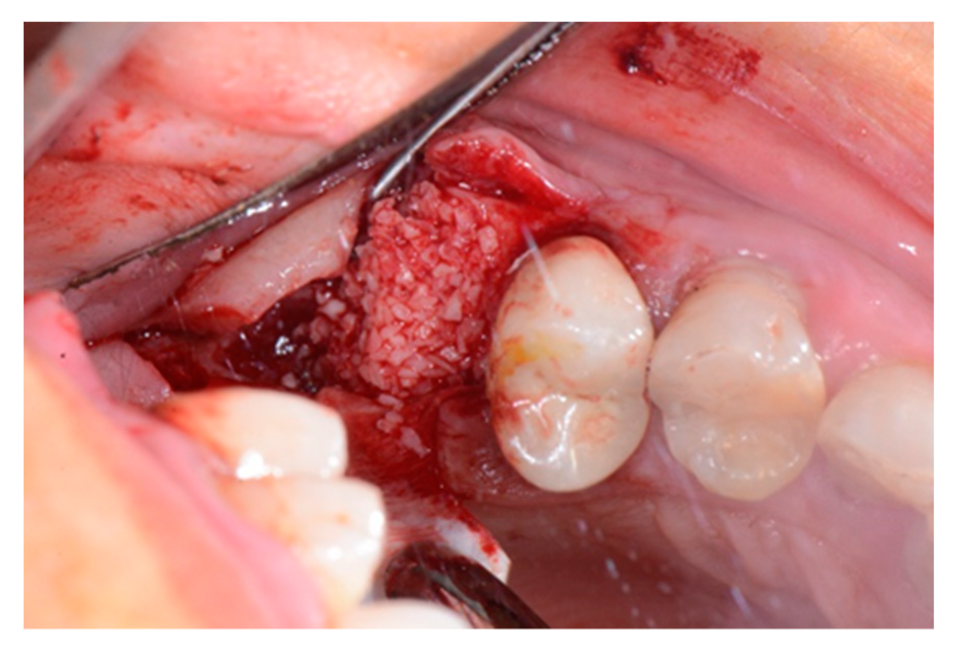 Biology 10 00262 g004