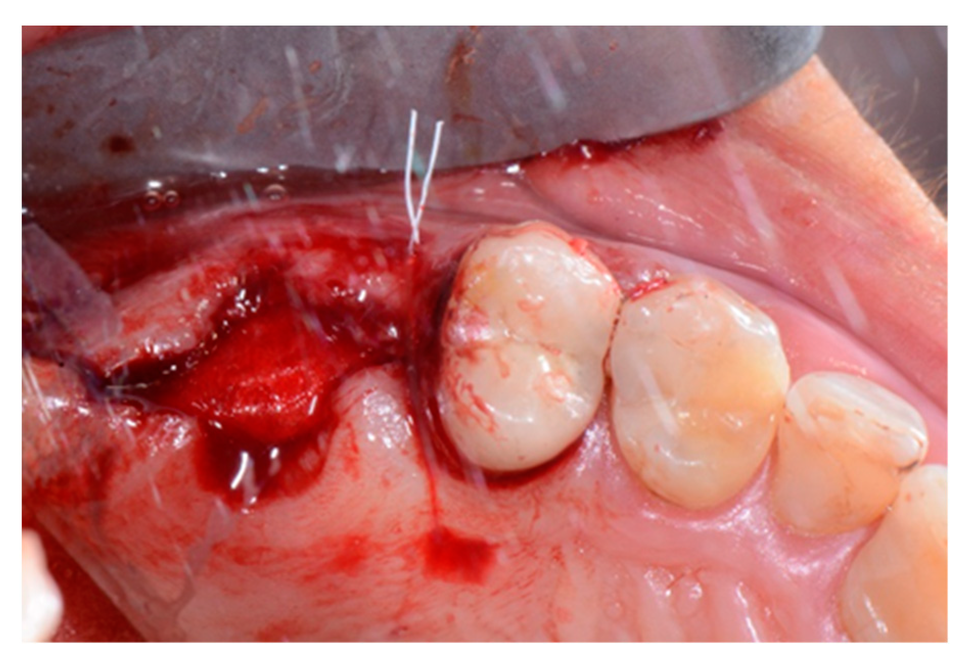 Biology 10 00262 g005