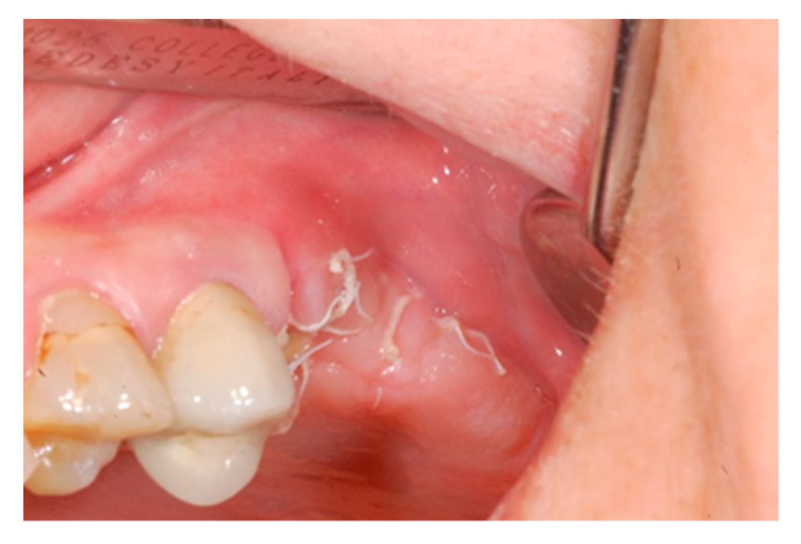 Biology 10 00262 g006