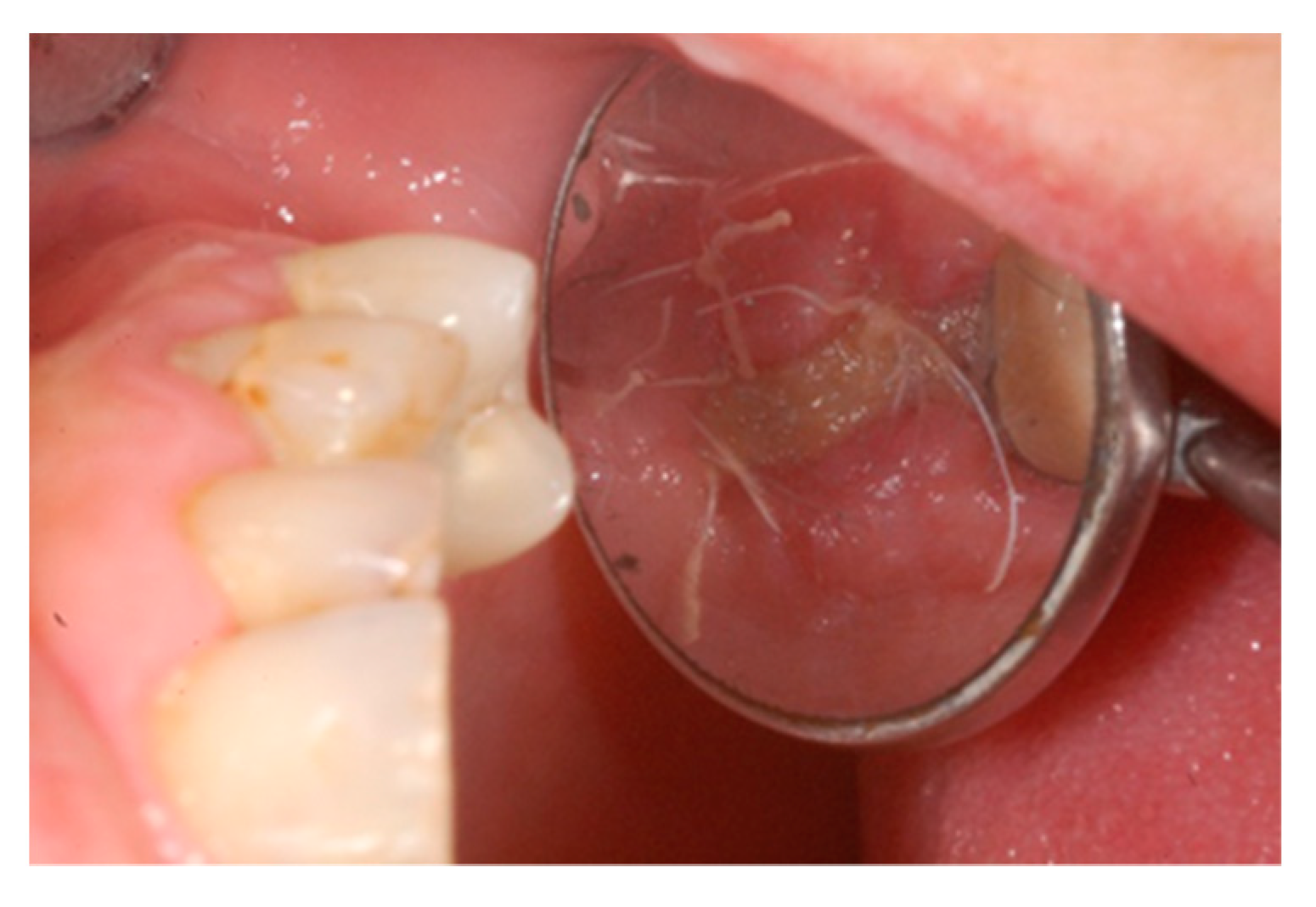 Biology 10 00262 g007